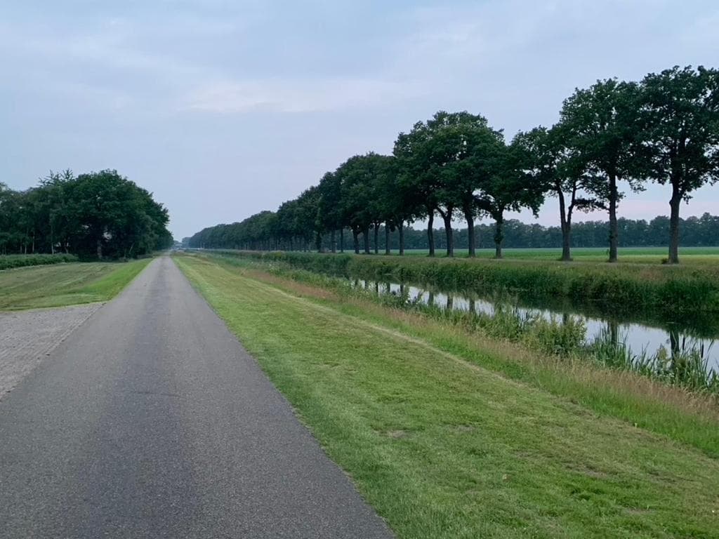 De Hondsrug photo 6