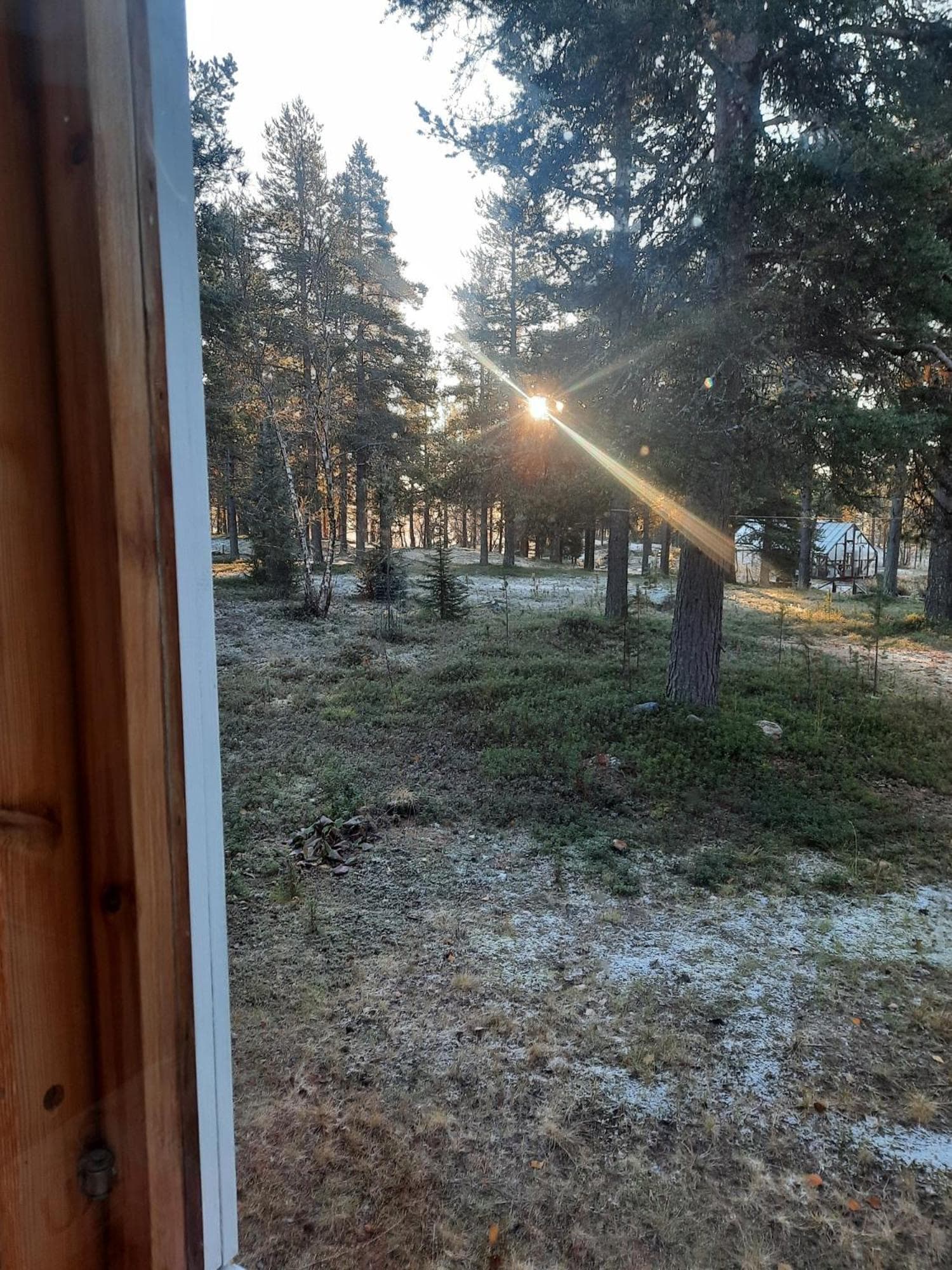 Holiday Home Samanitieva photo 9