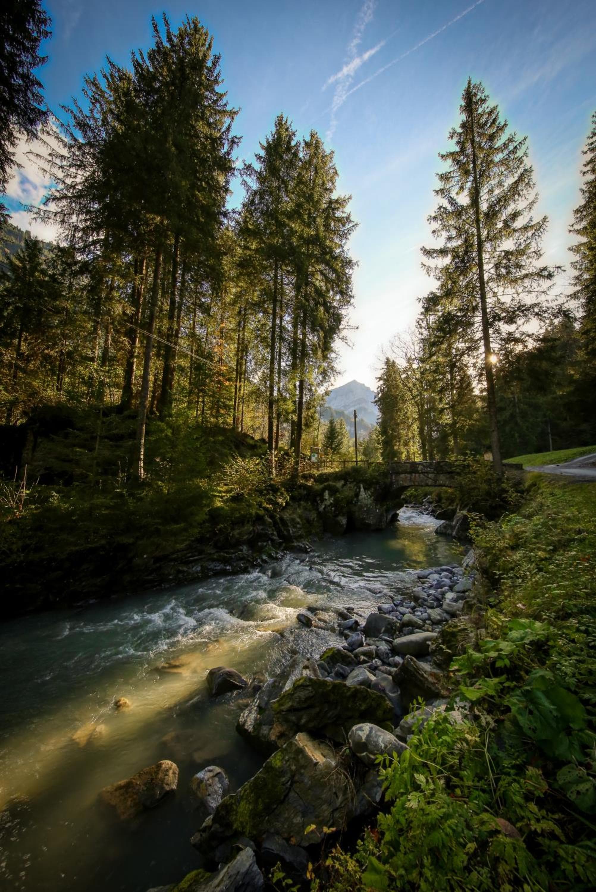 Nature hideaway at Ferme a Marius photo 2
