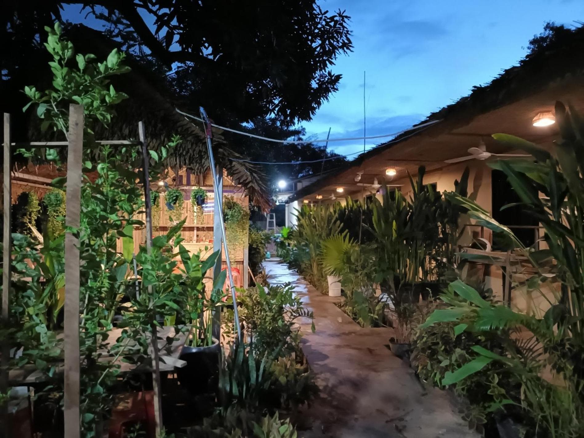 Madam Sokha Homesteading photo 2
