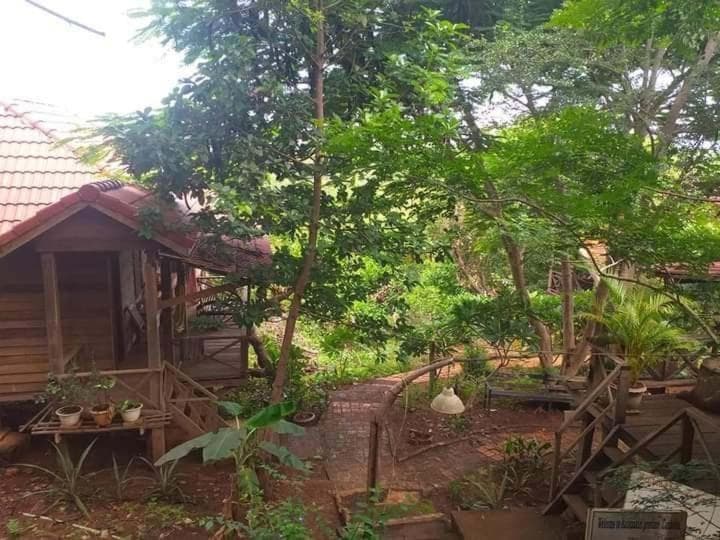 Garden View Lodge & Trekking Tours photo 3