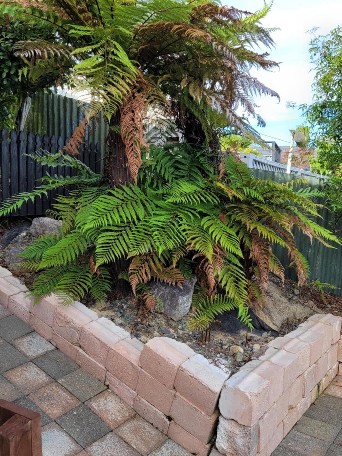 Silver Fern Haven photo 2