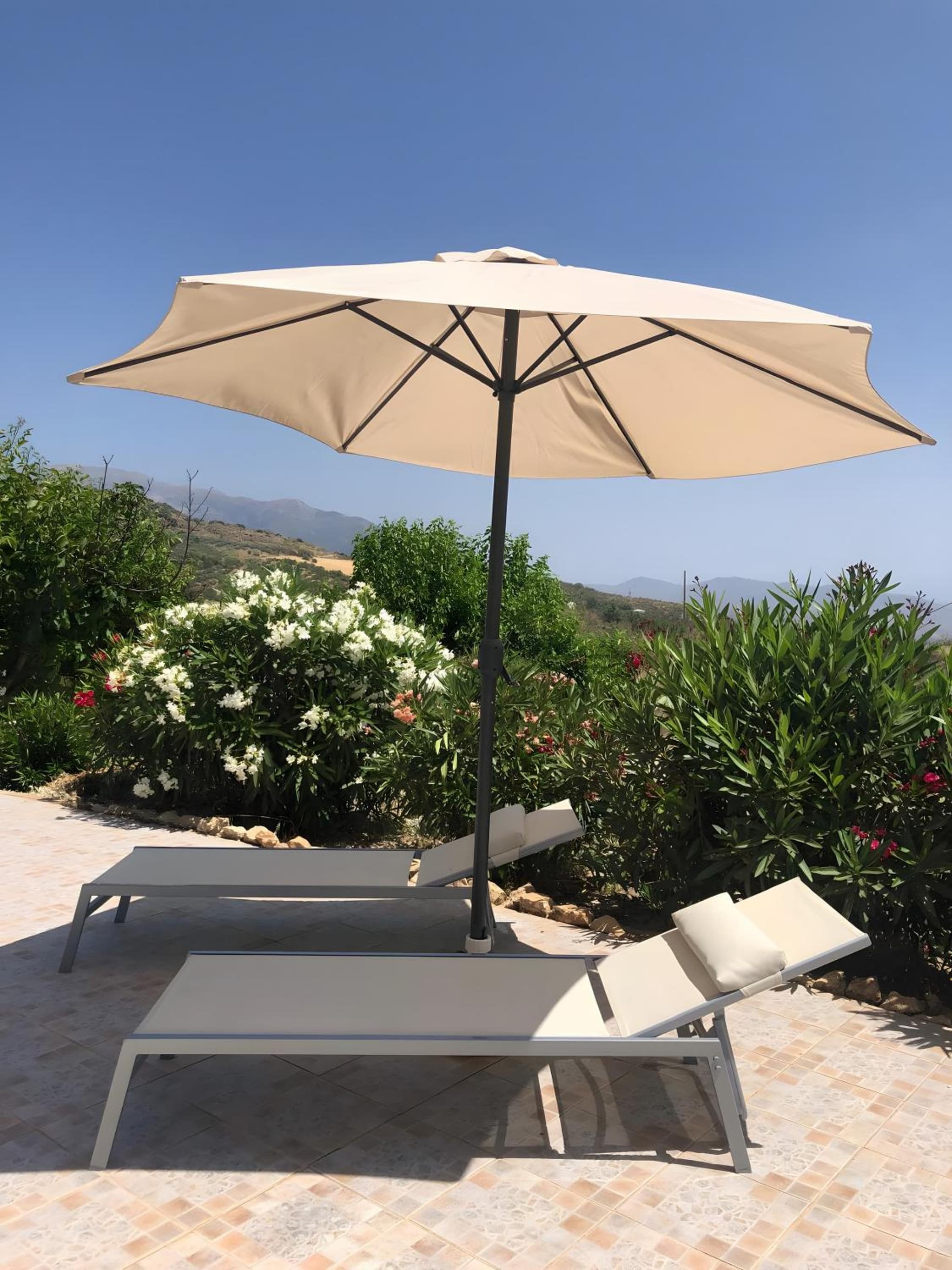 Finca Carrion photo 8