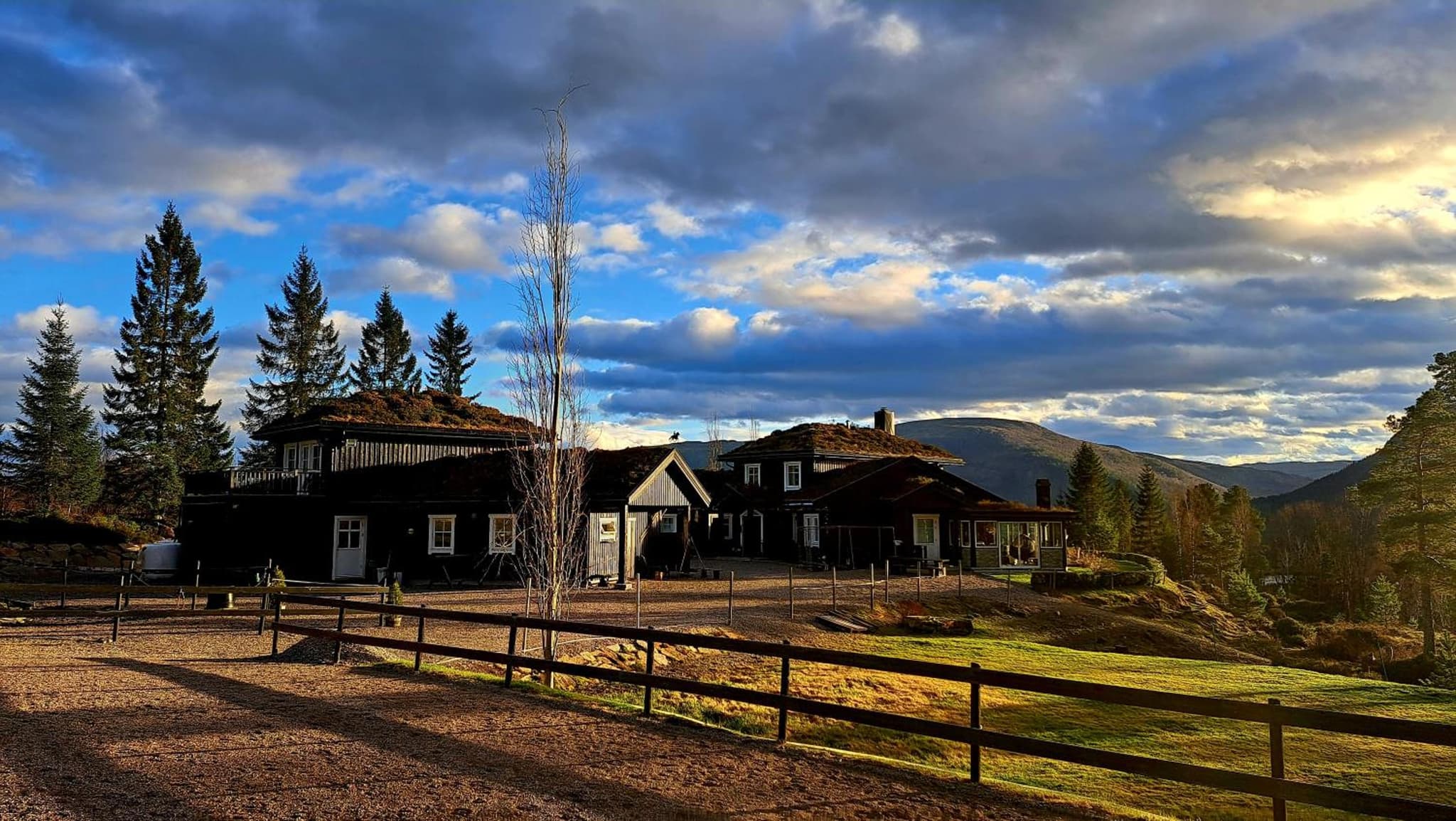 Stallen photo 8