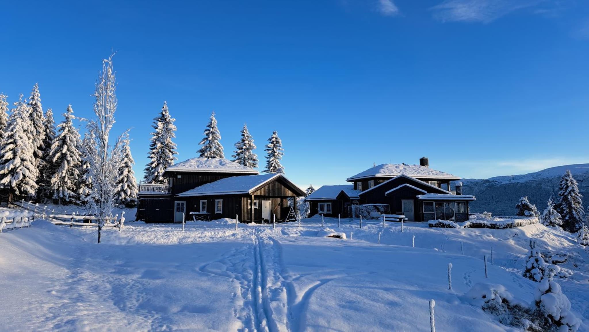 Stallen photo 6