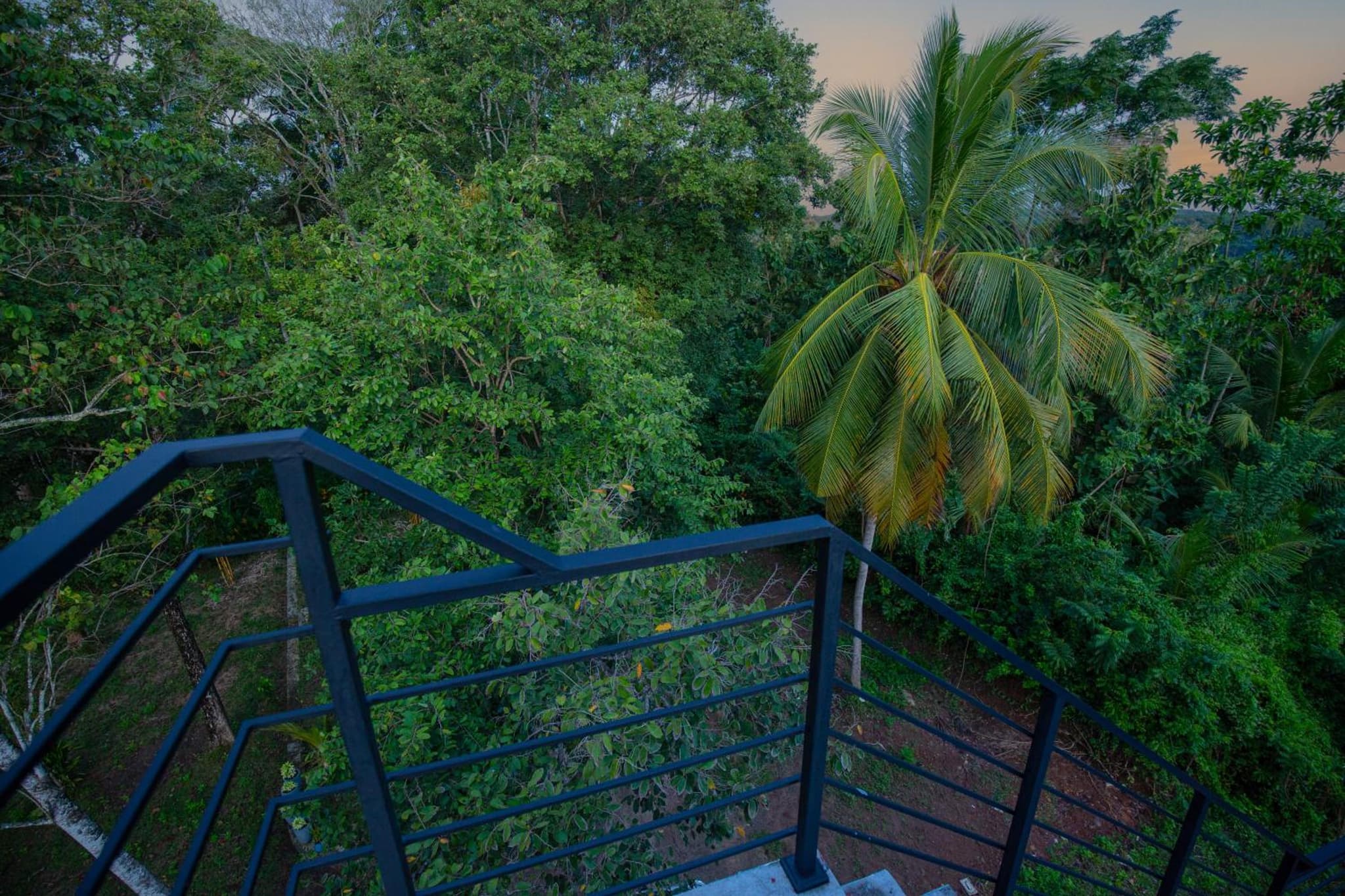 FlyOn Resort photo 4