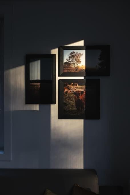 Tiny House 'Het Berkenhuisje' photo 9