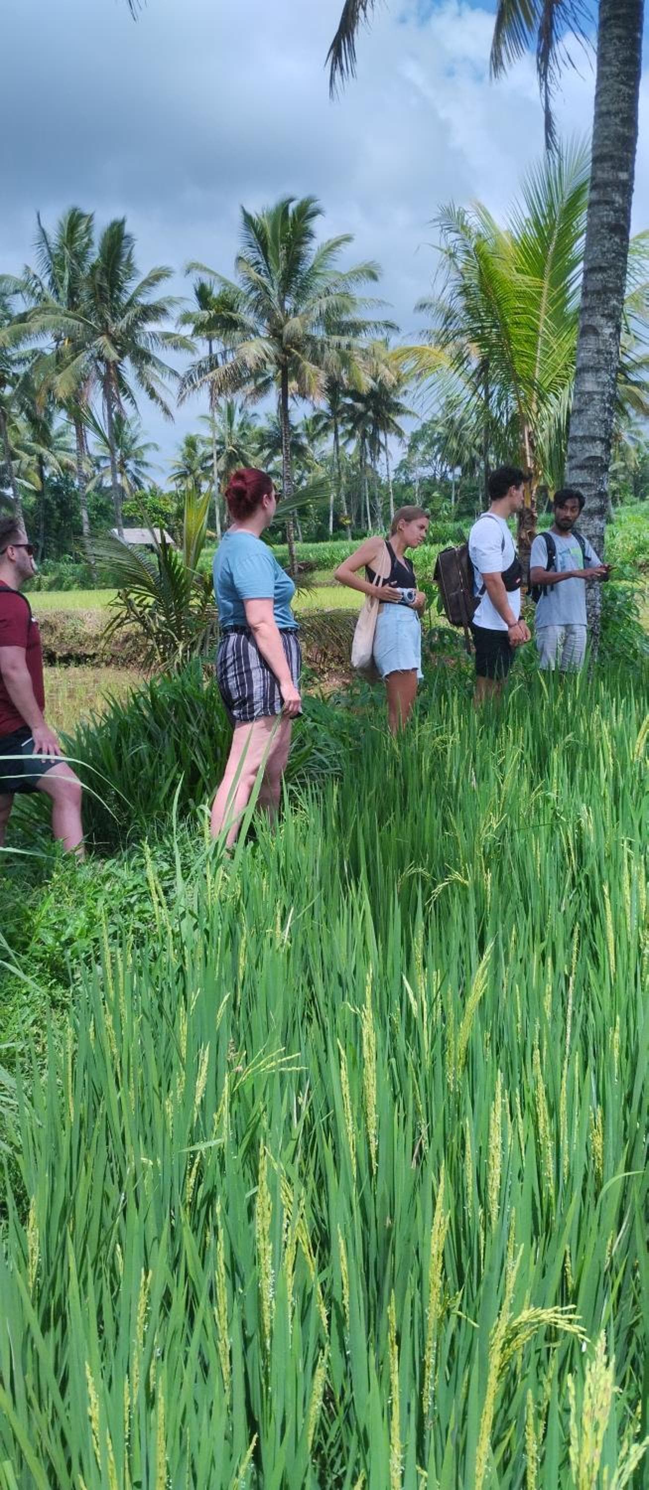 Rice Field inn - Lombok photo 9
