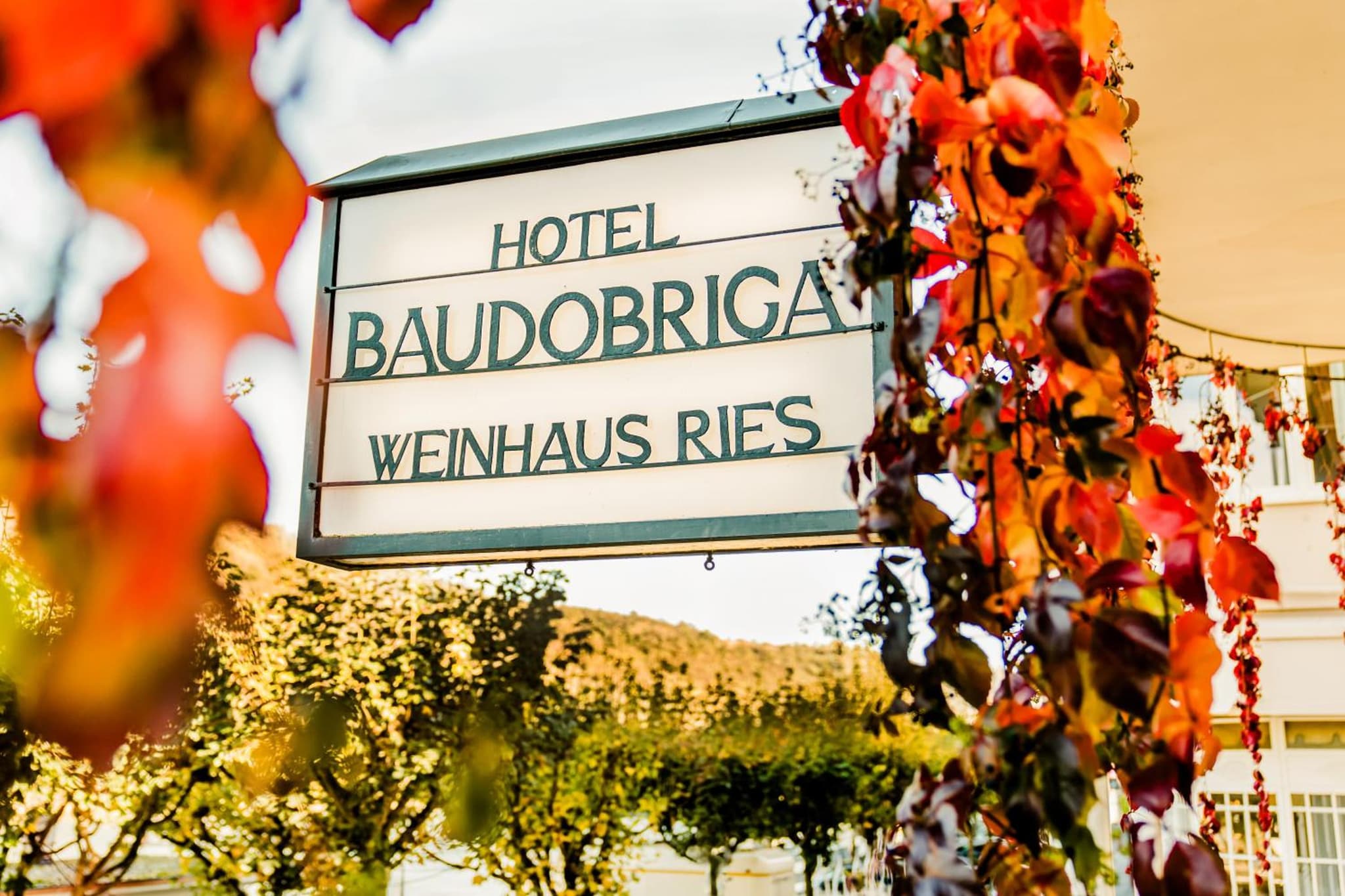 Baudobriga Rheinhotel photo 4