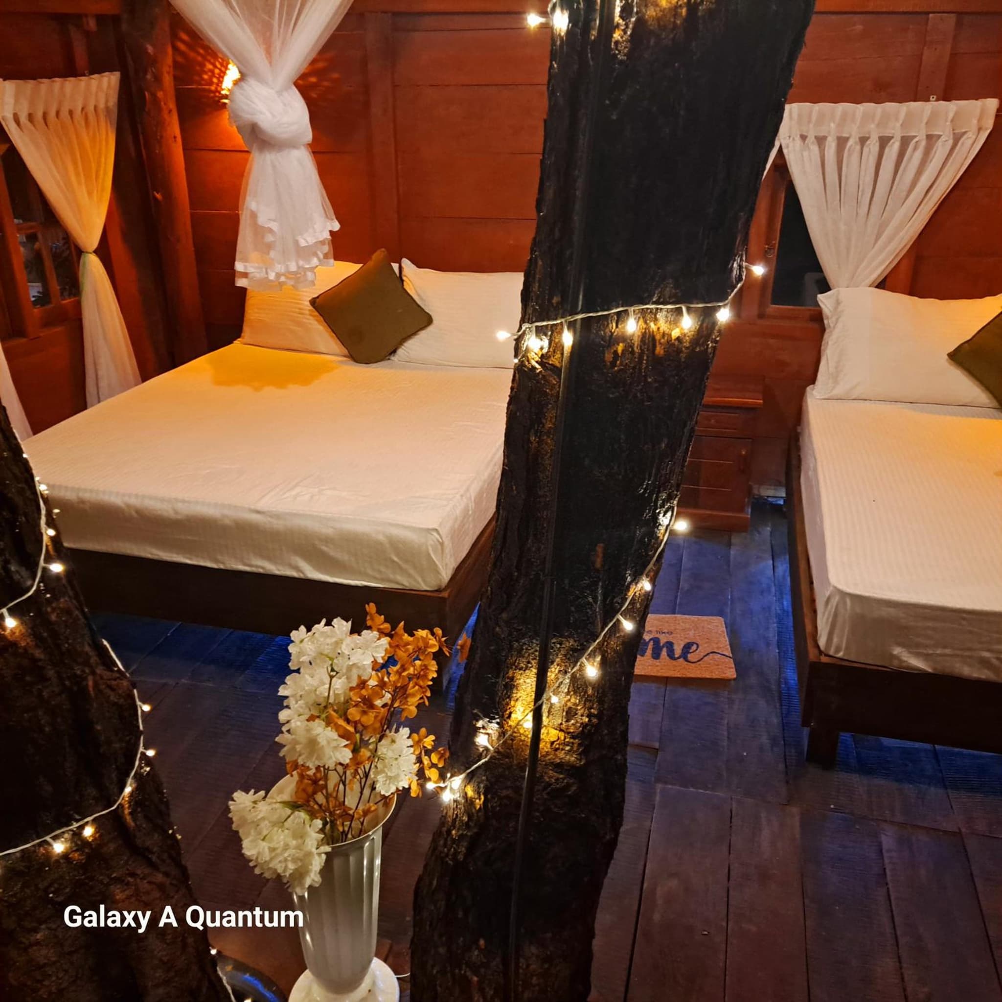 Green leaf Tree house photo 4