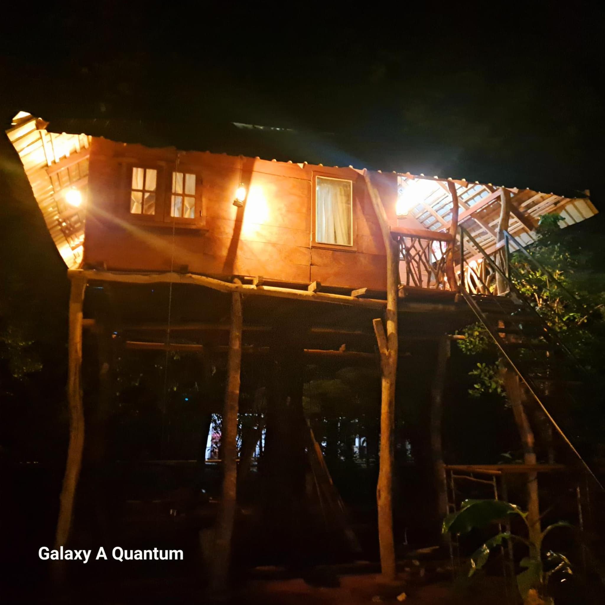 Green leaf Tree house photo 6