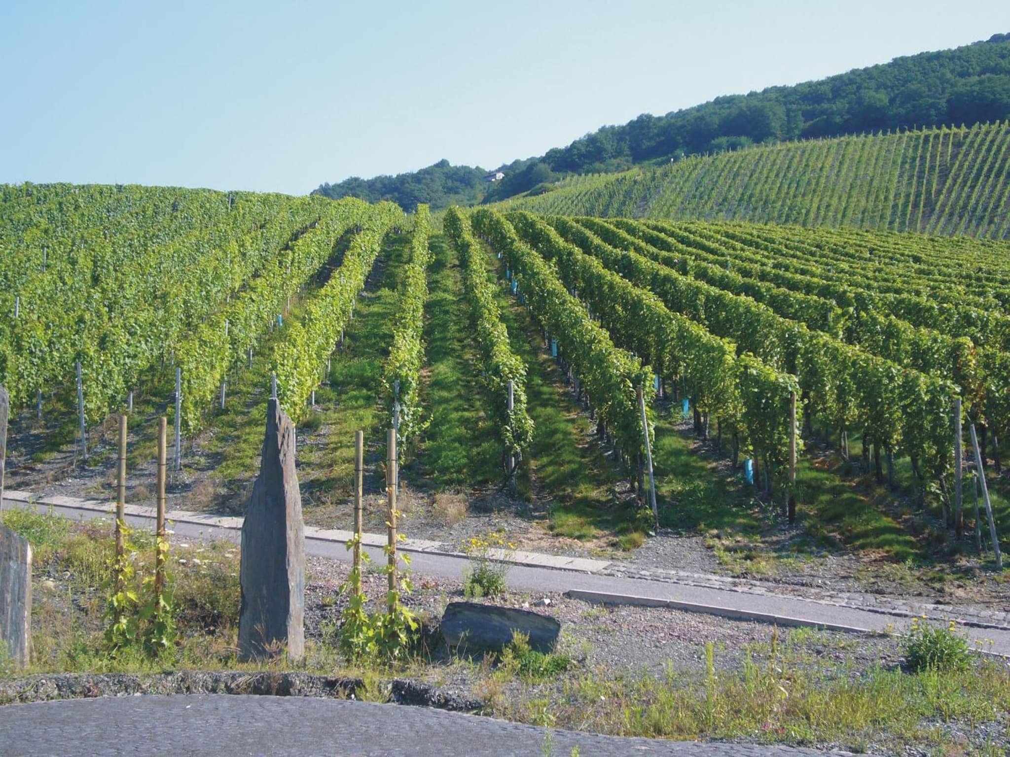 Christiana's Wein & Art Hotel photo 8