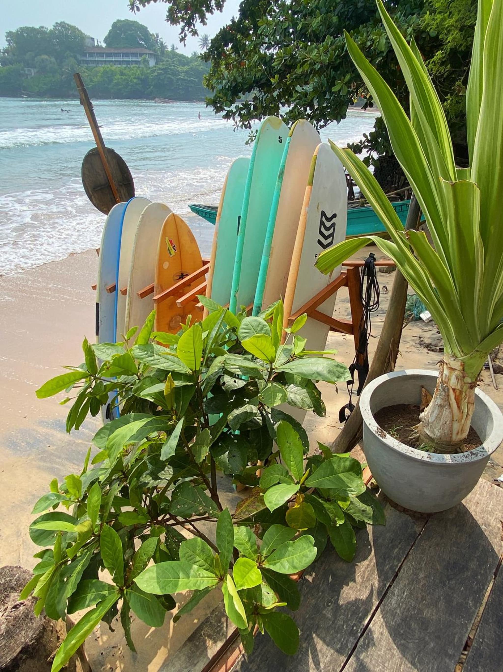 Surf by Sebu Beachfront photo 7
