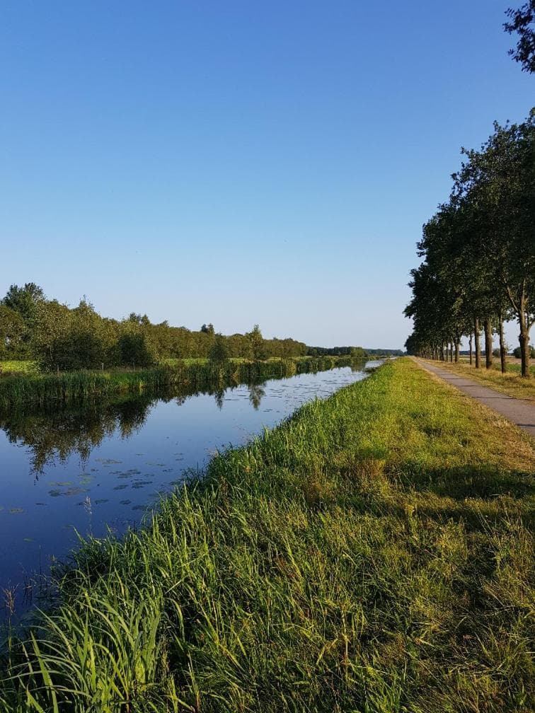 Onder de Beukenboom photo 4