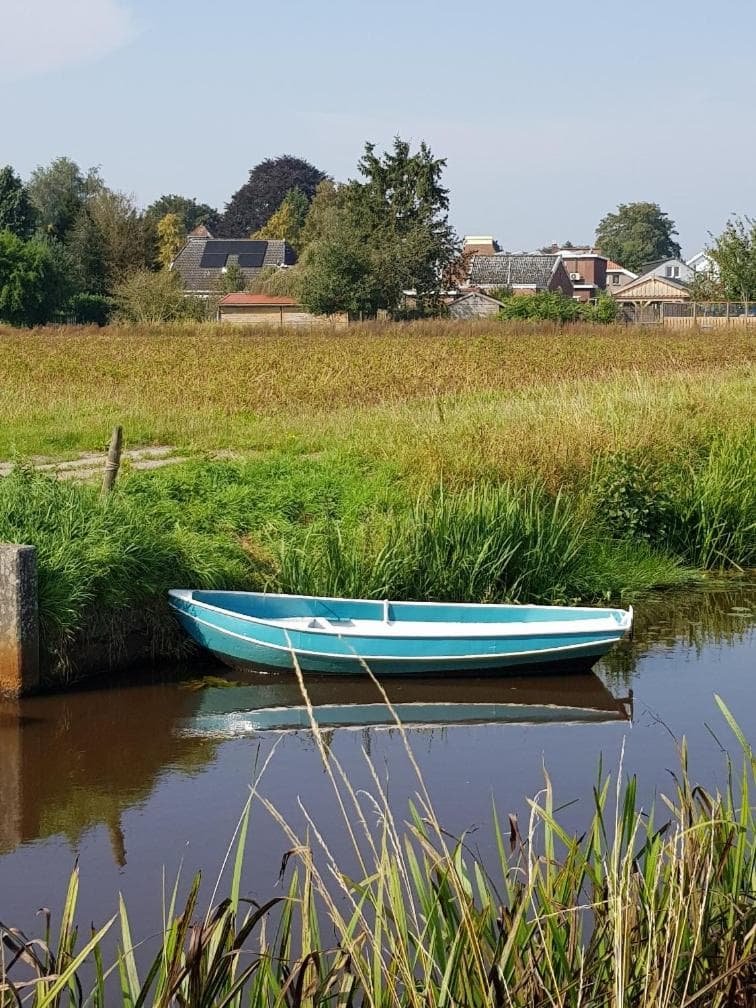 Onder de Beukenboom photo 9