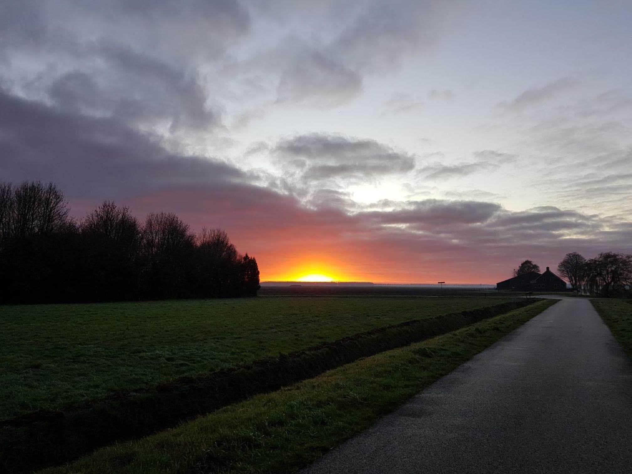 Onder de Beukenboom photo 3
