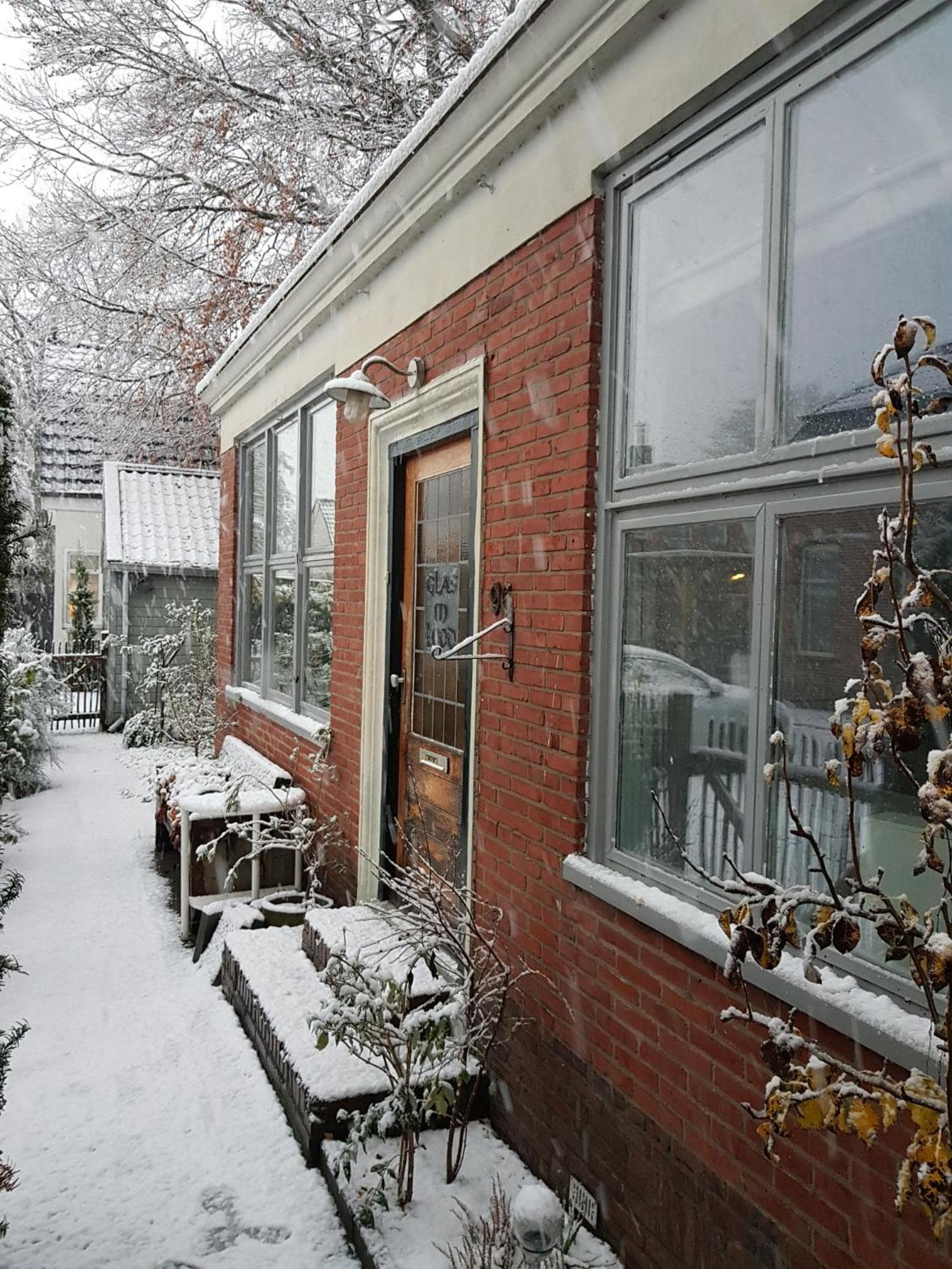 Onder de Beukenboom