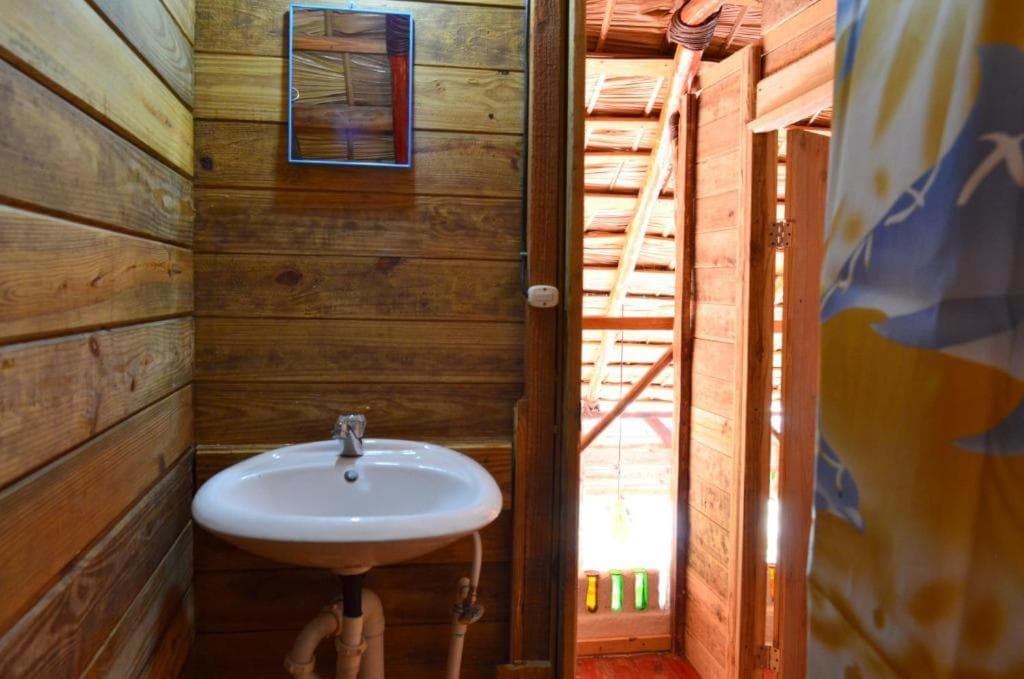 Hostel La Ballena Backpacker photo 3
