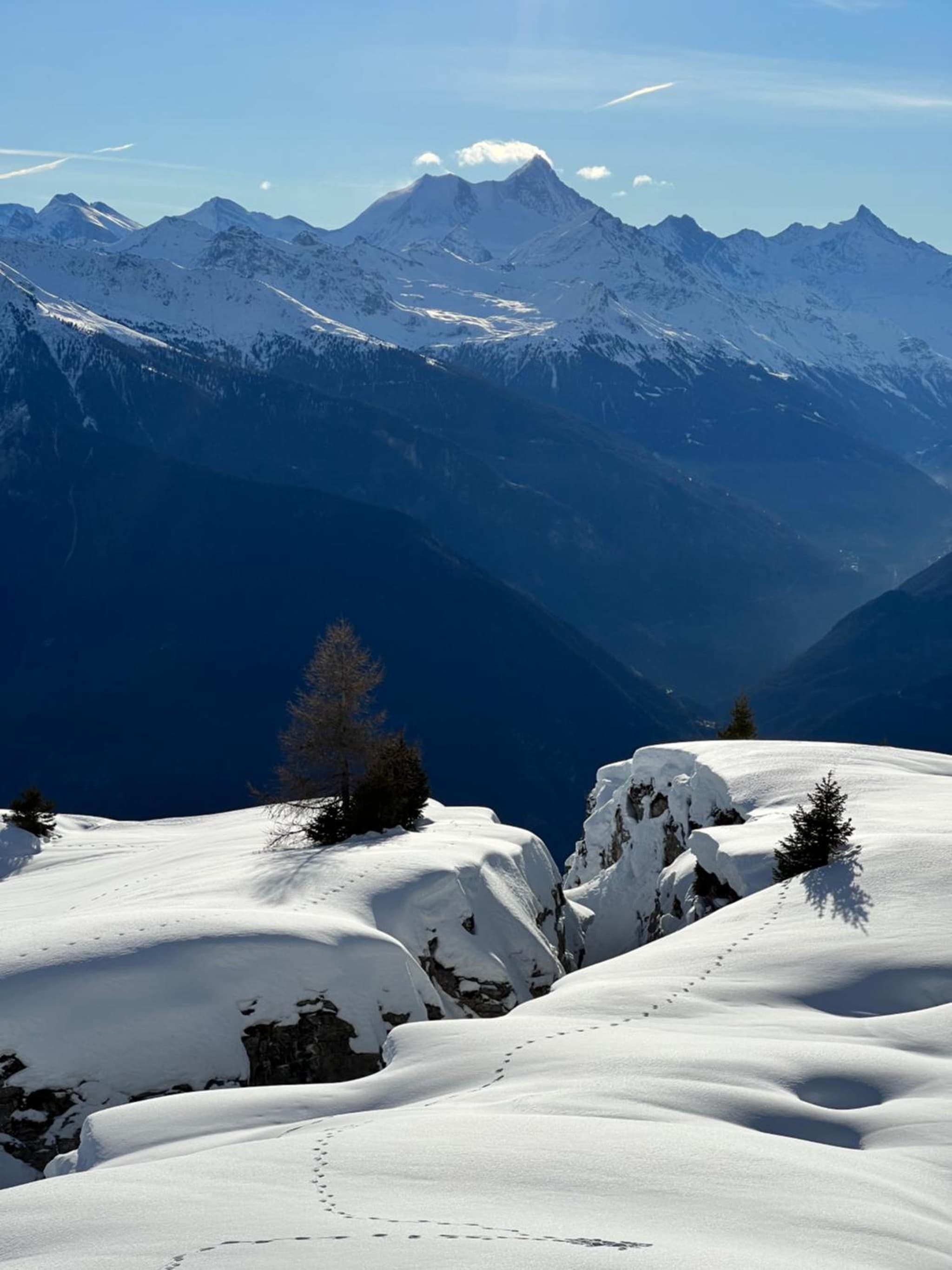 Himalayan vibes photo 5
