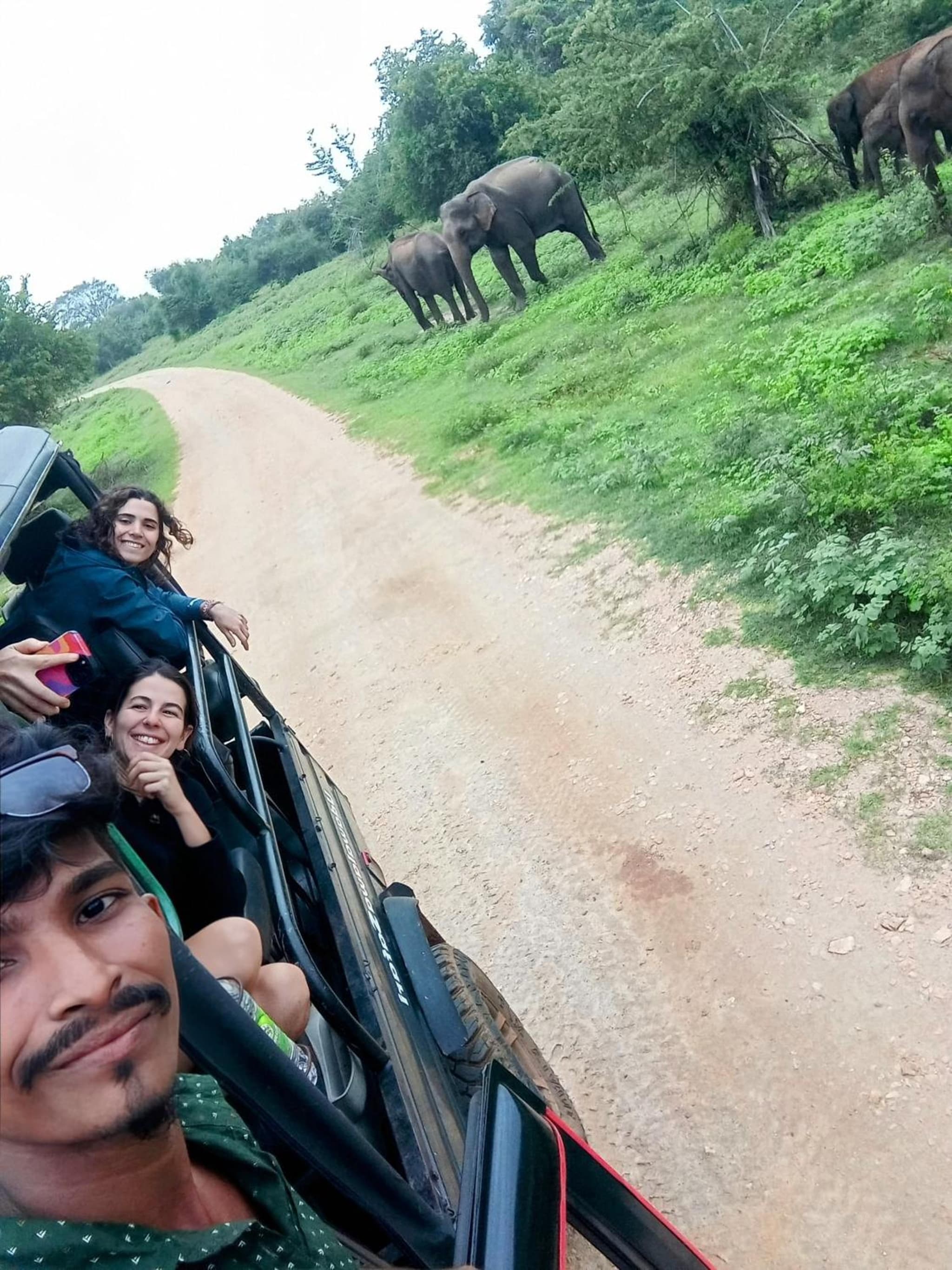Elite Safari Resort photo 5