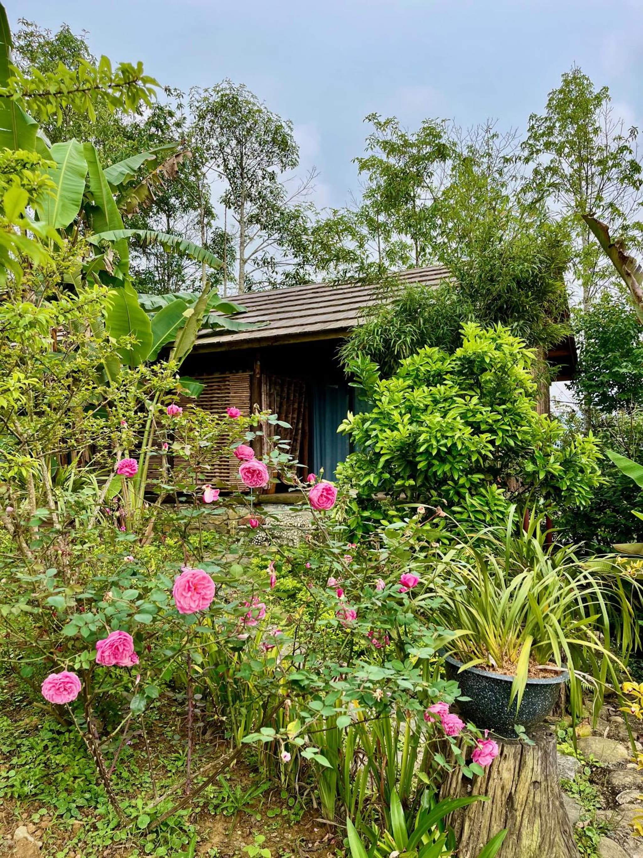 Anne House Bac Ha photo 2