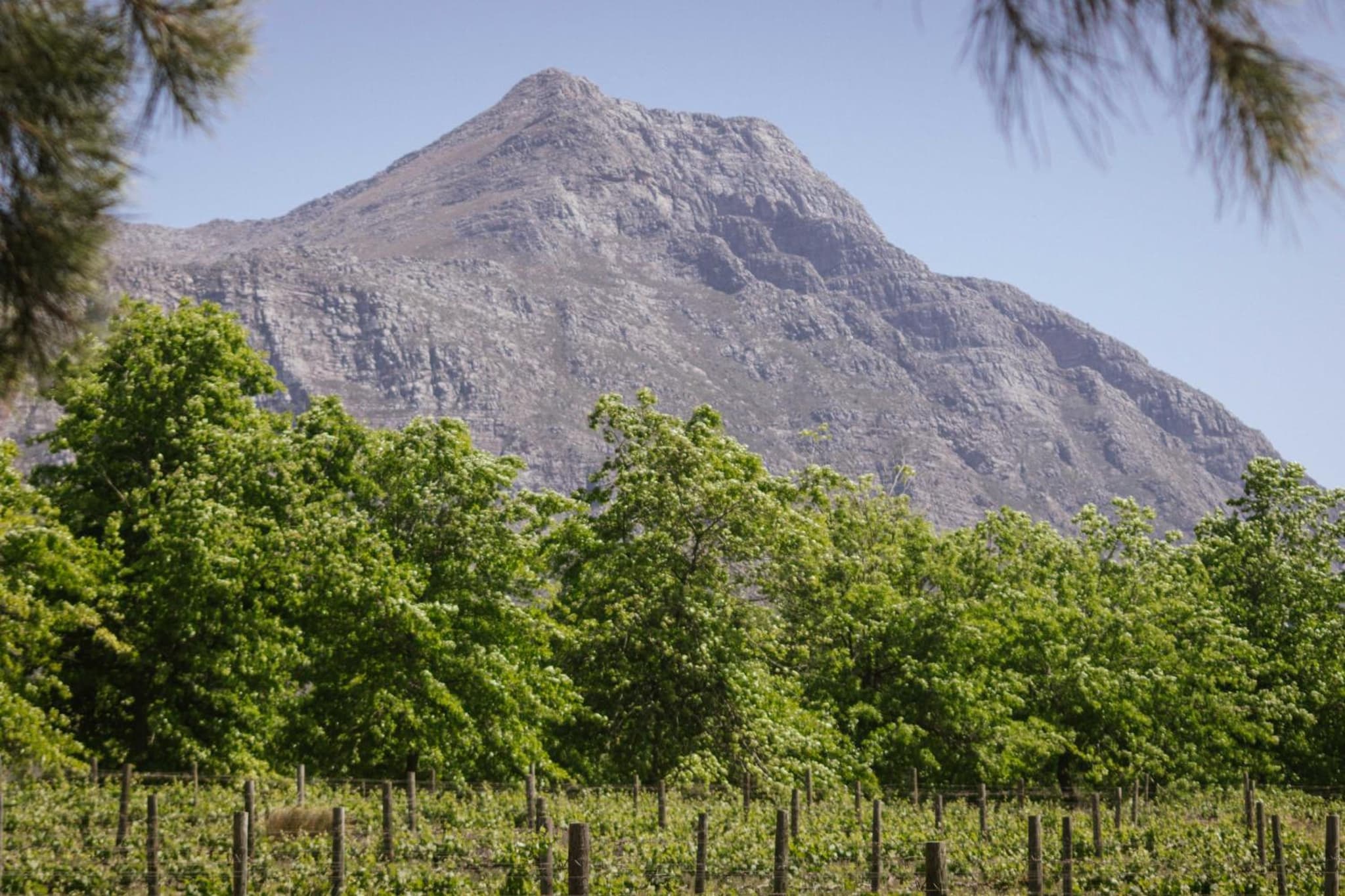 Duikersdrift Winelands Country Escape photo 9