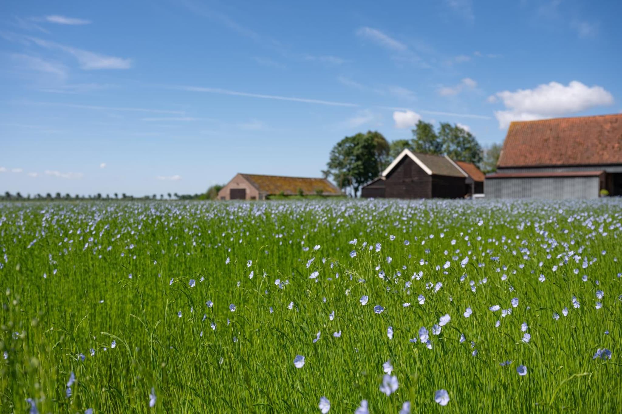 Landgoed Oud Bommenede photo 3