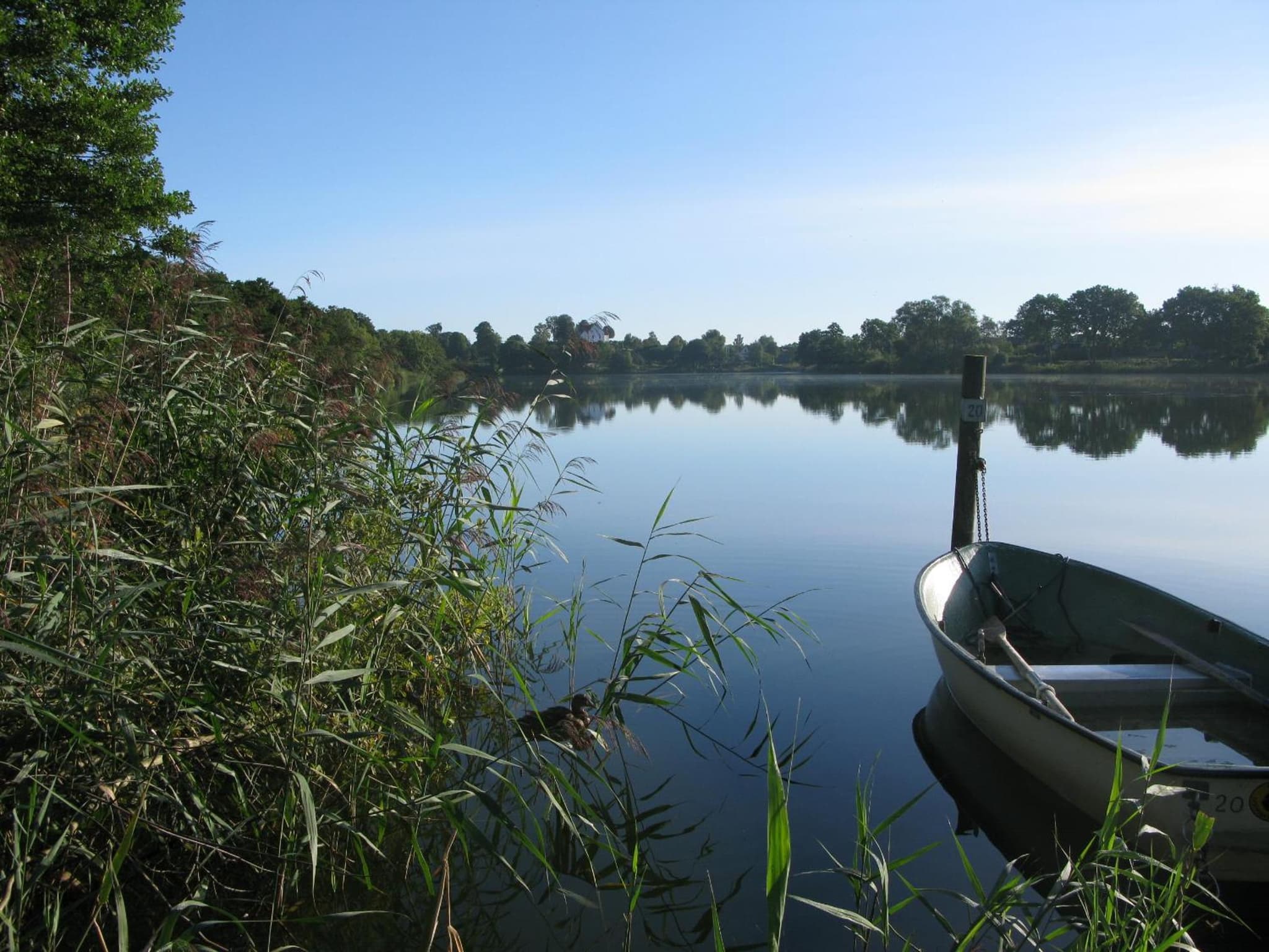 Sorø Camping & Cottages photo 8