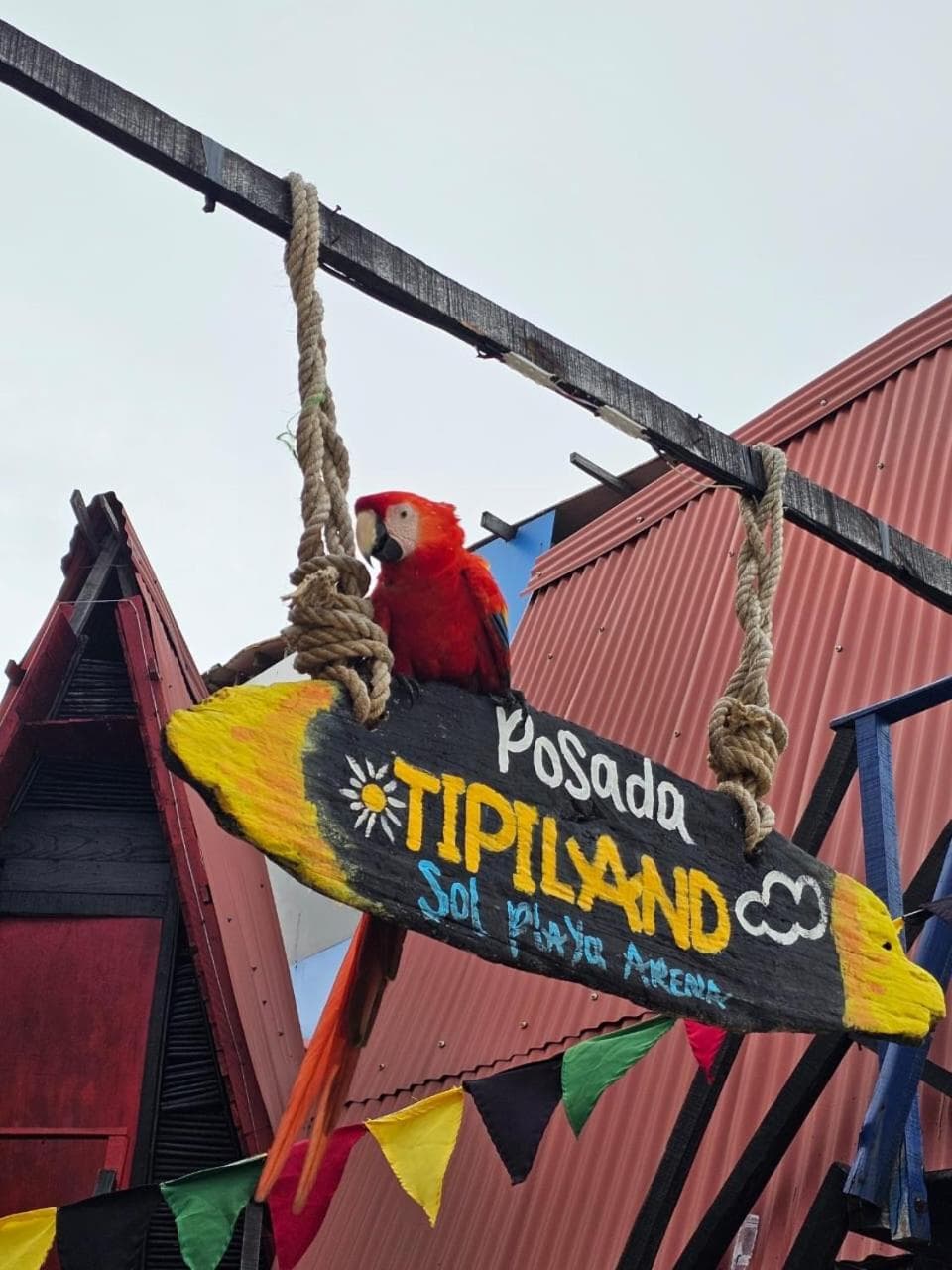 Tipiland baru la casa del mono