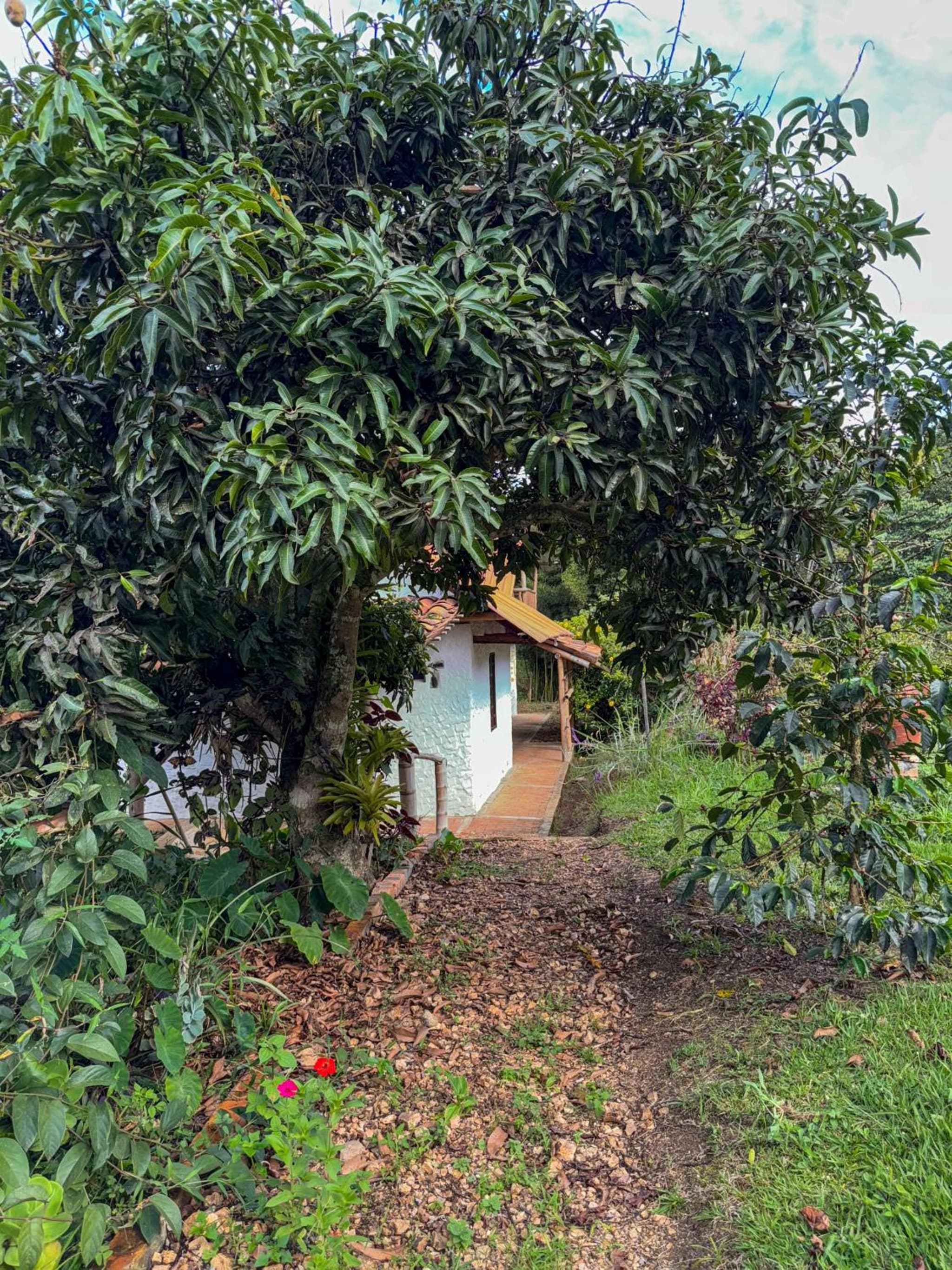 Hostal Pachamama photo 4