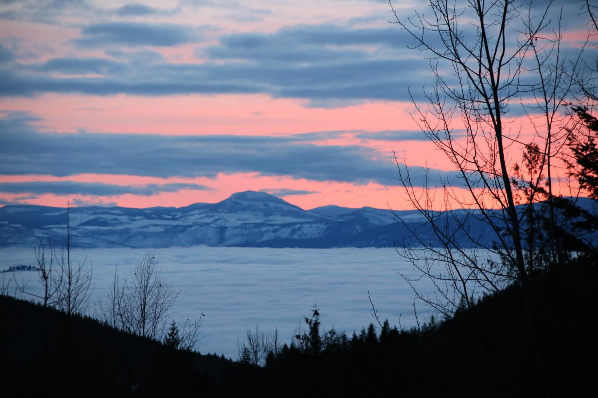 Silver Star Bed and Breakfast photo 6