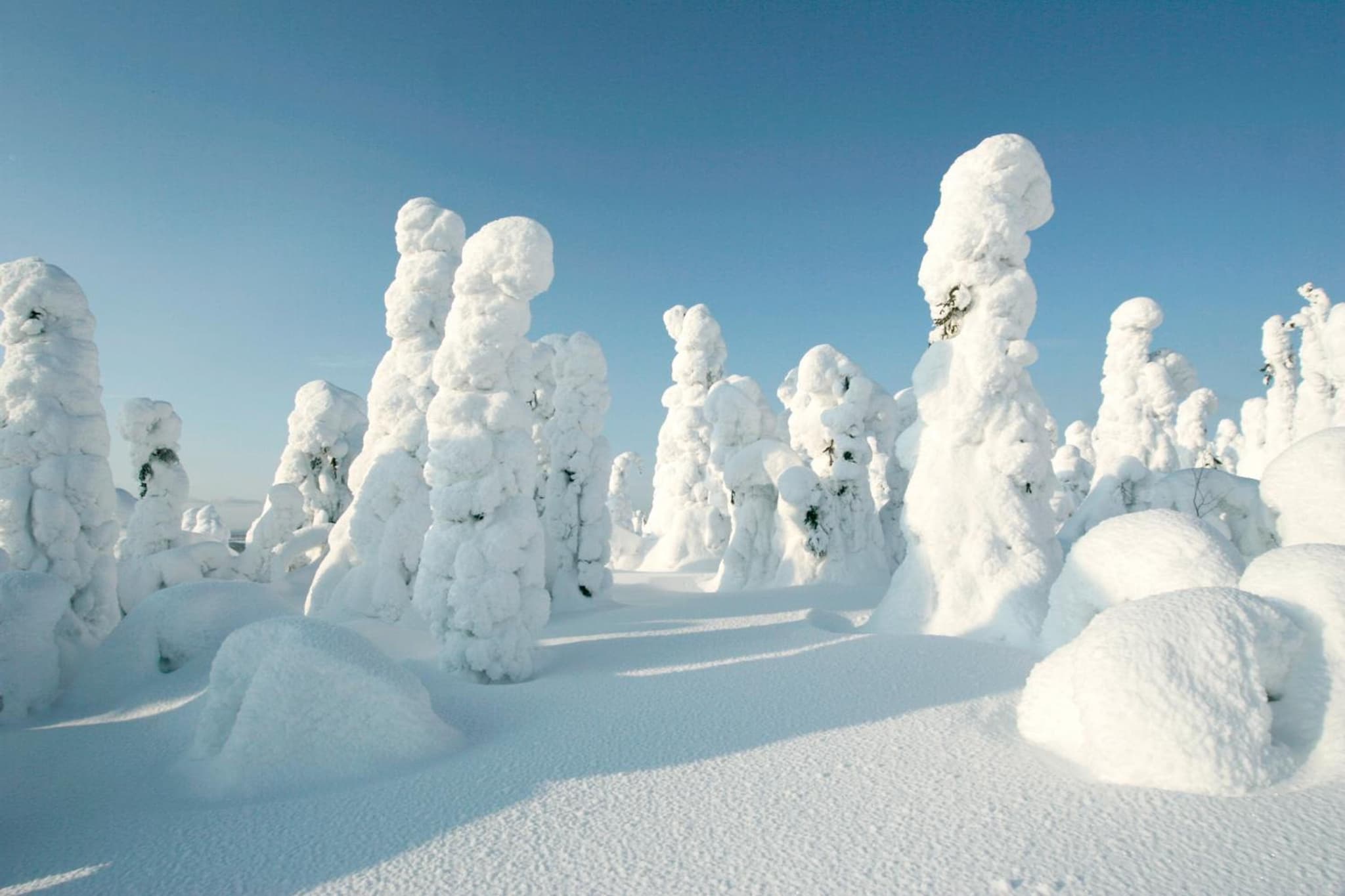 Hotelli Suomutunturi photo 9