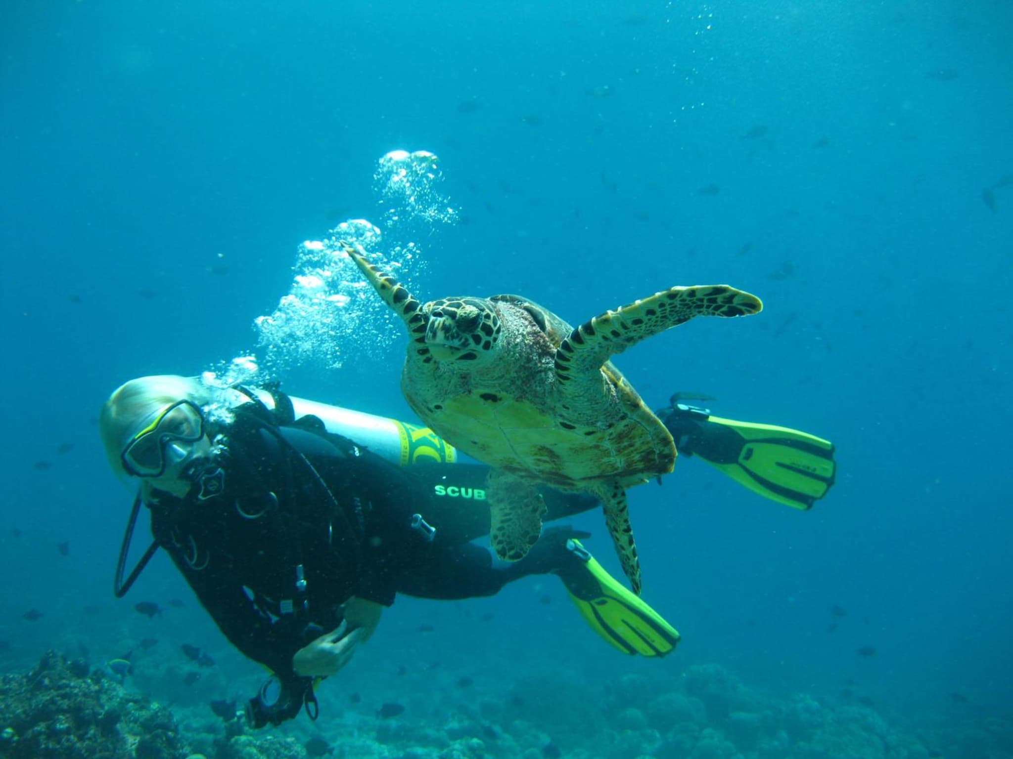 Adaaran Select Meedhupparu - One Kid Stays FREE for Stay Dates between 12th April 2026- 30th September 2026 - with Dine around Premium All inclusive 24 hou photo 9