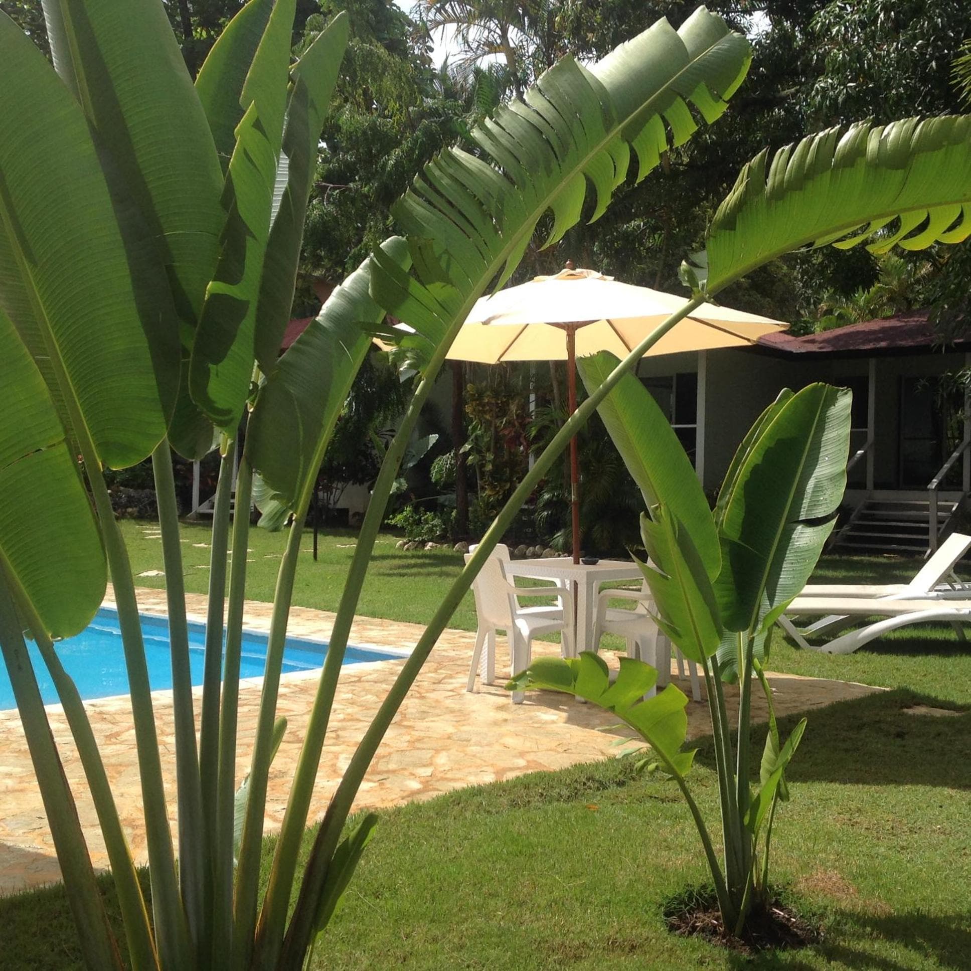 Bungalow Natura Village photo 3