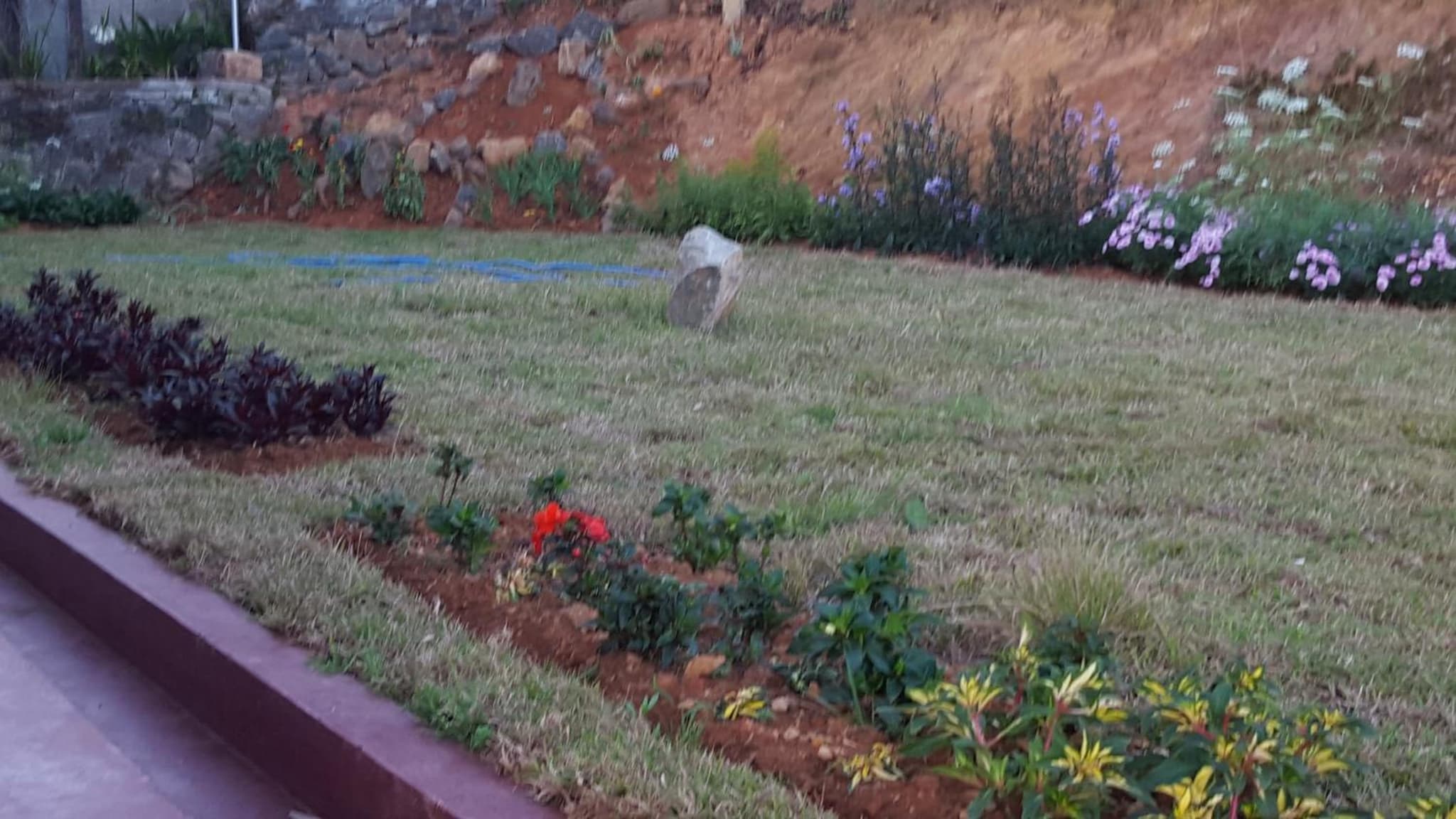 Thuring's Holiday Bungalow photo 3