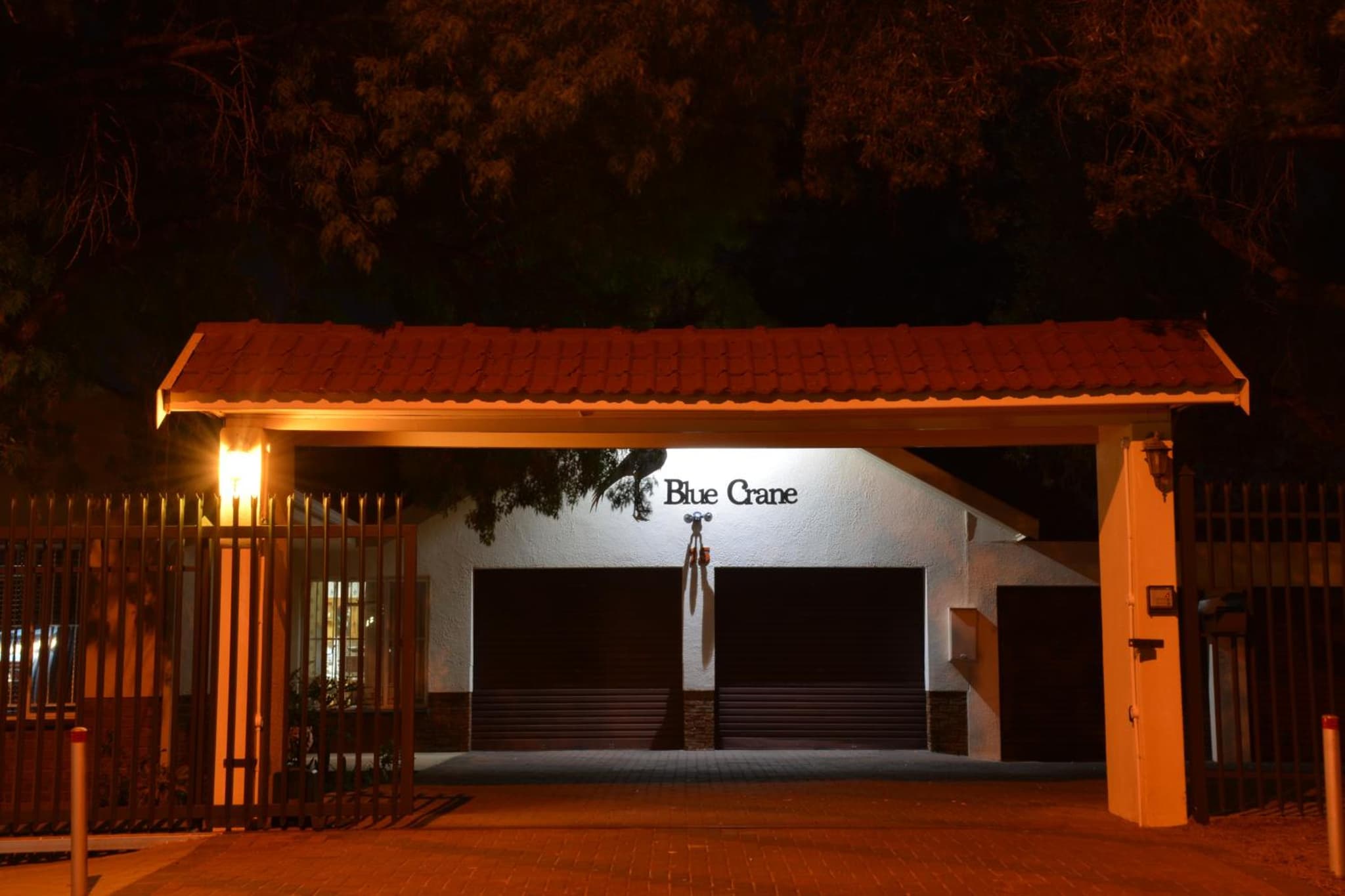 Blue Crane Guest House Bloemfontein photo 6