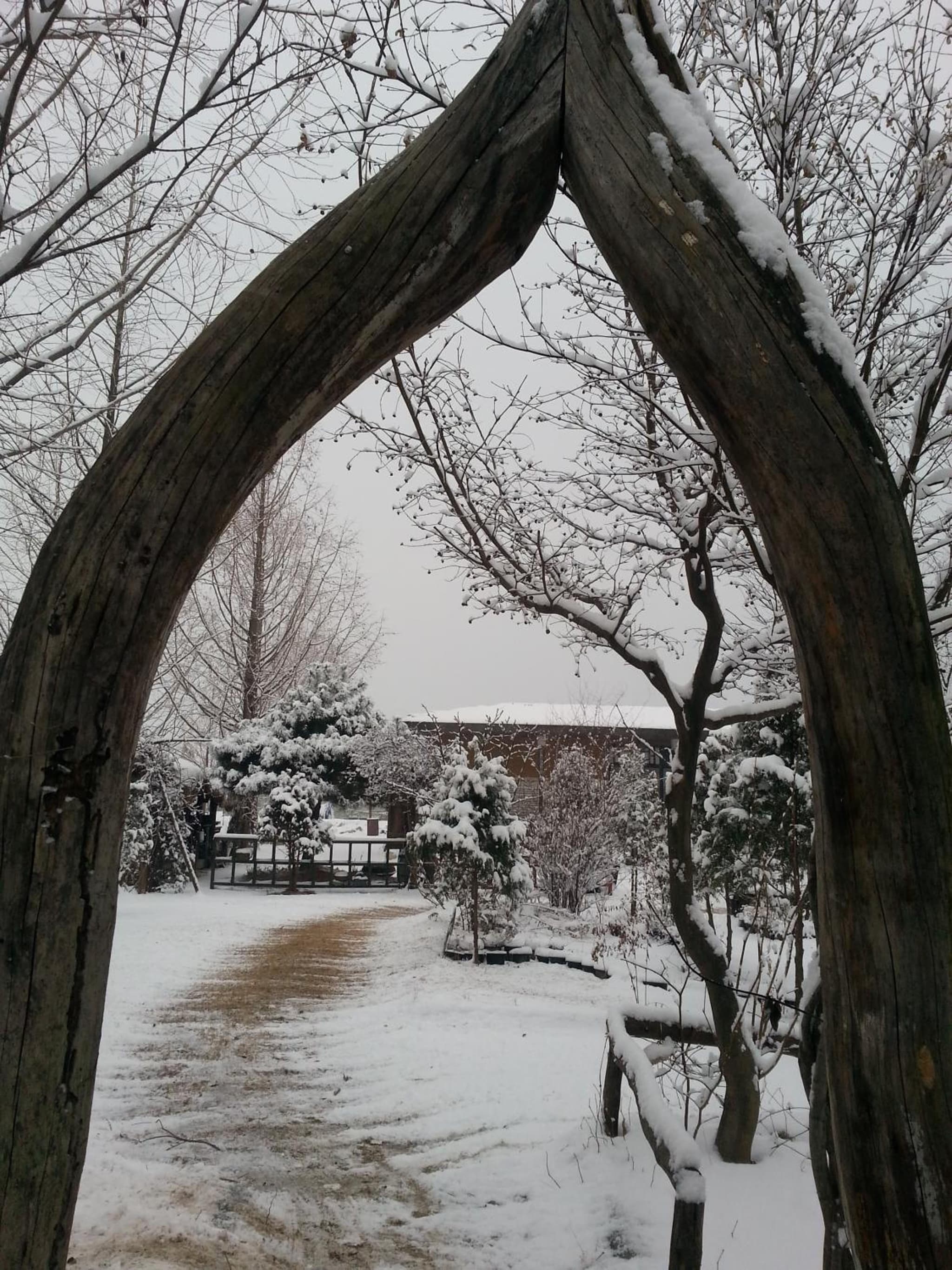 Guesthouse Nabiya photo 8