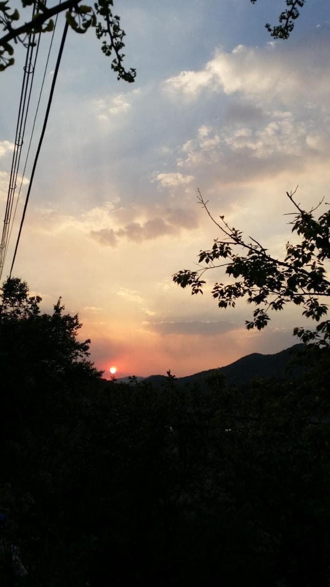 Guesthouse Nabiya photo 6