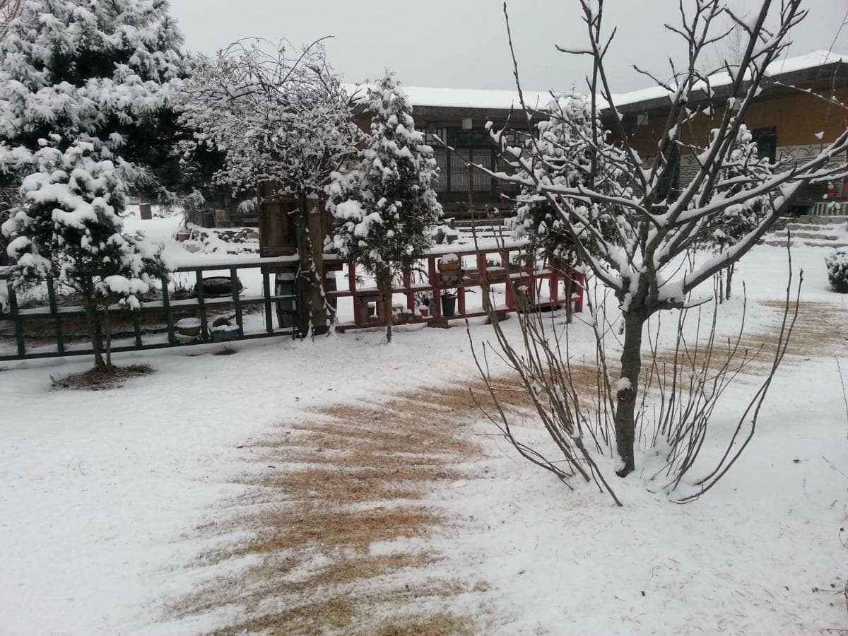 Guesthouse Nabiya photo 2