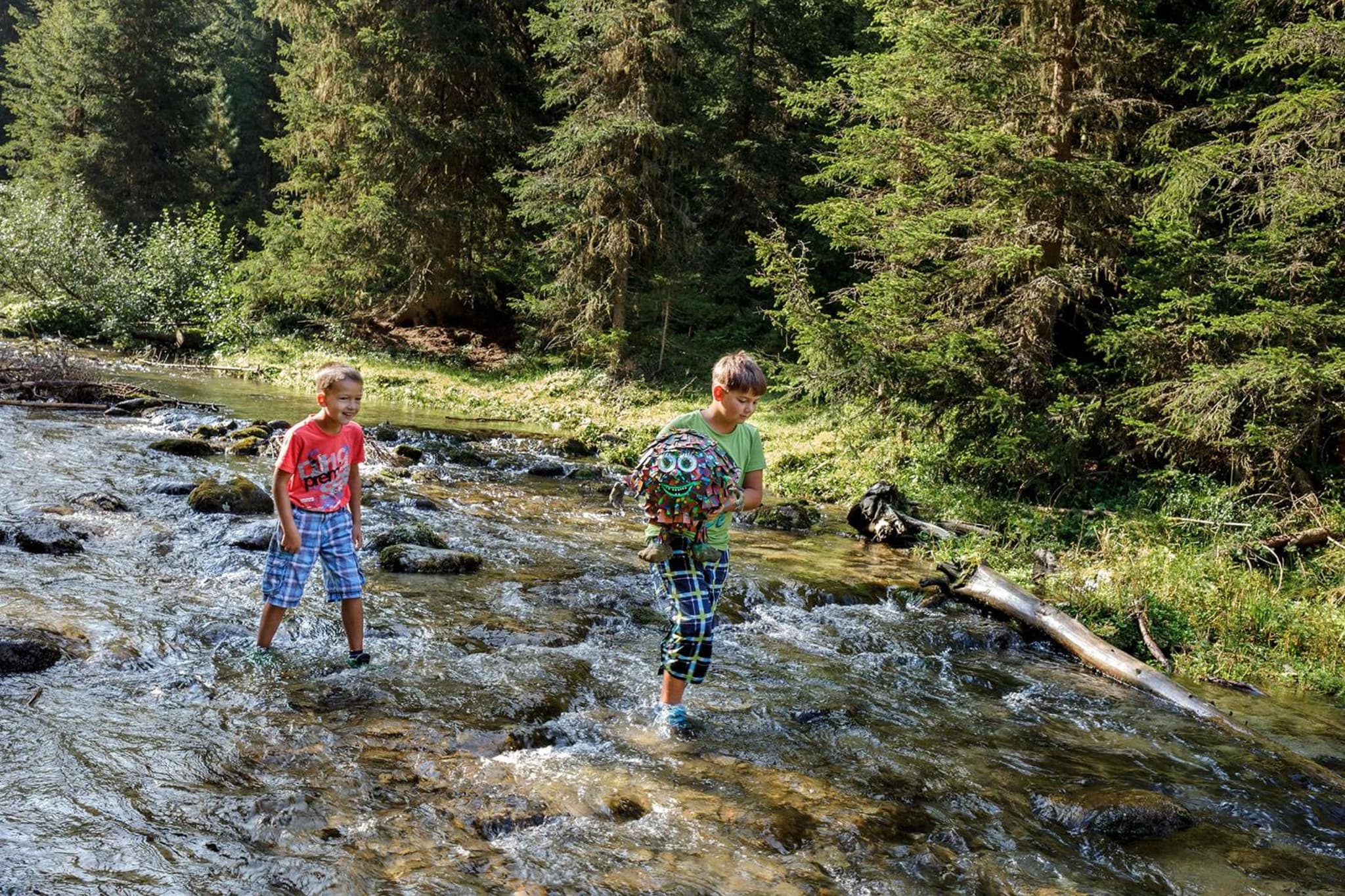 Oberschupferhof photo 8