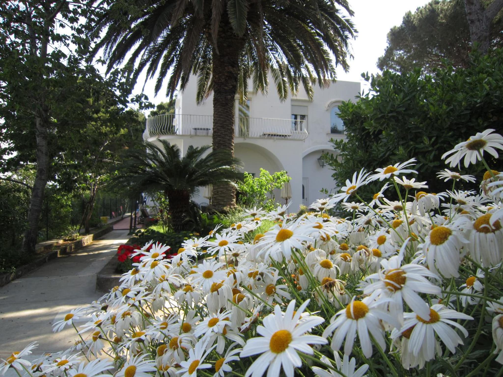 B&B Il Sogno