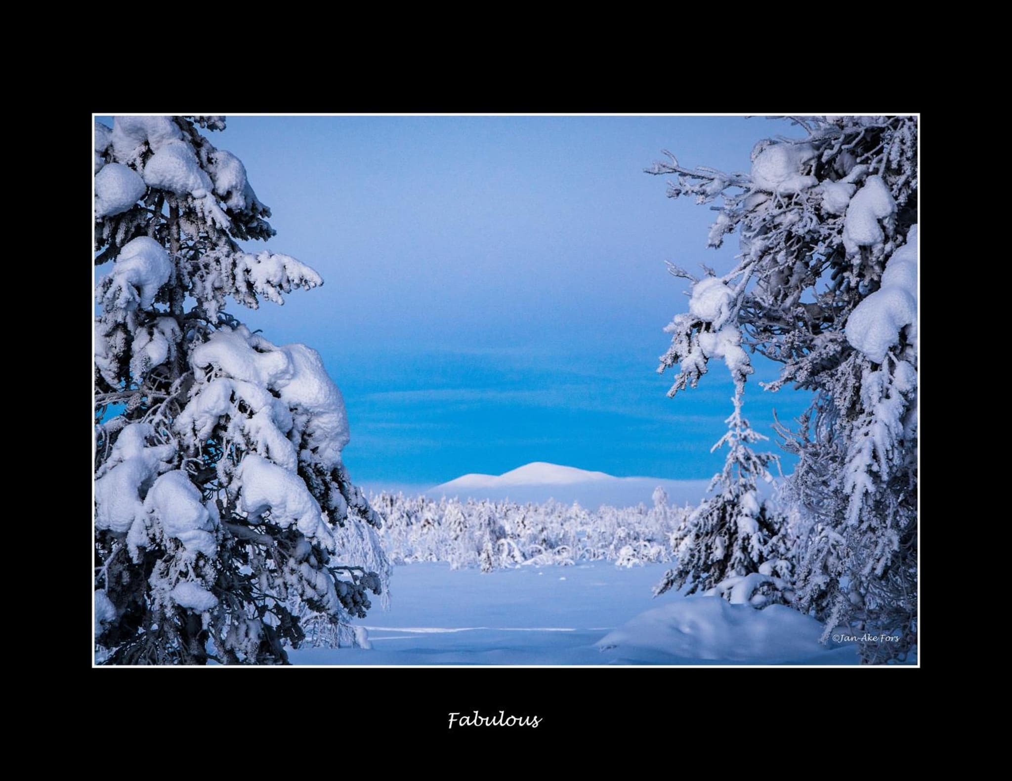 Lannavaara Lodge photo 9