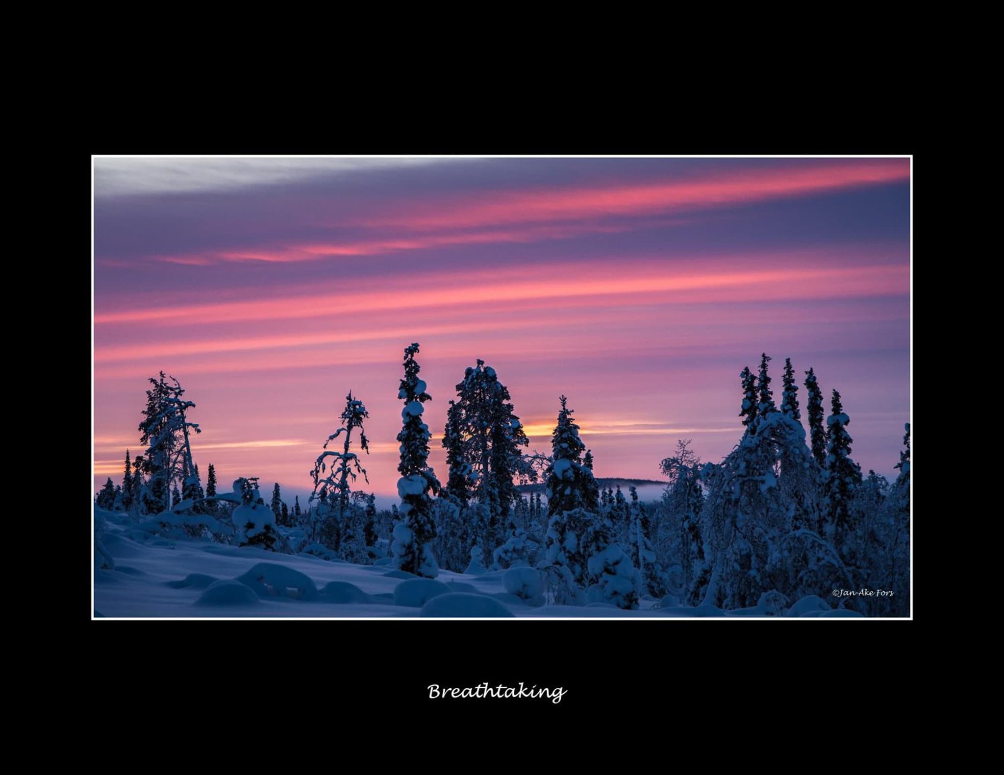 Lannavaara Lodge photo 4