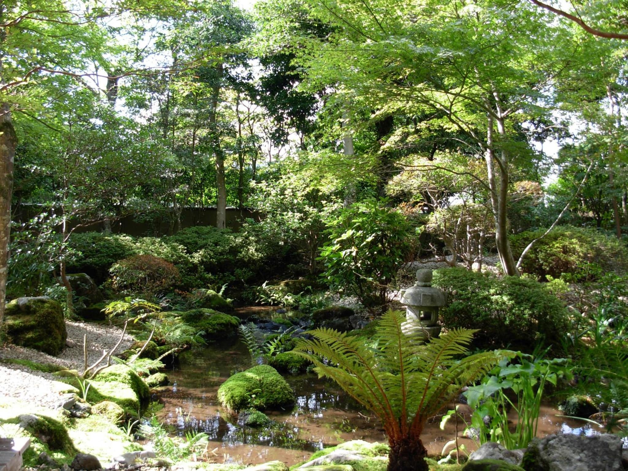 Yoshimatsu photo 4