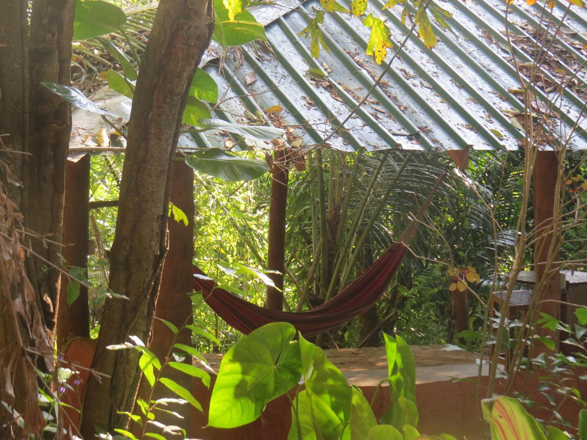 Polwaththa Eco Lodges photo 7