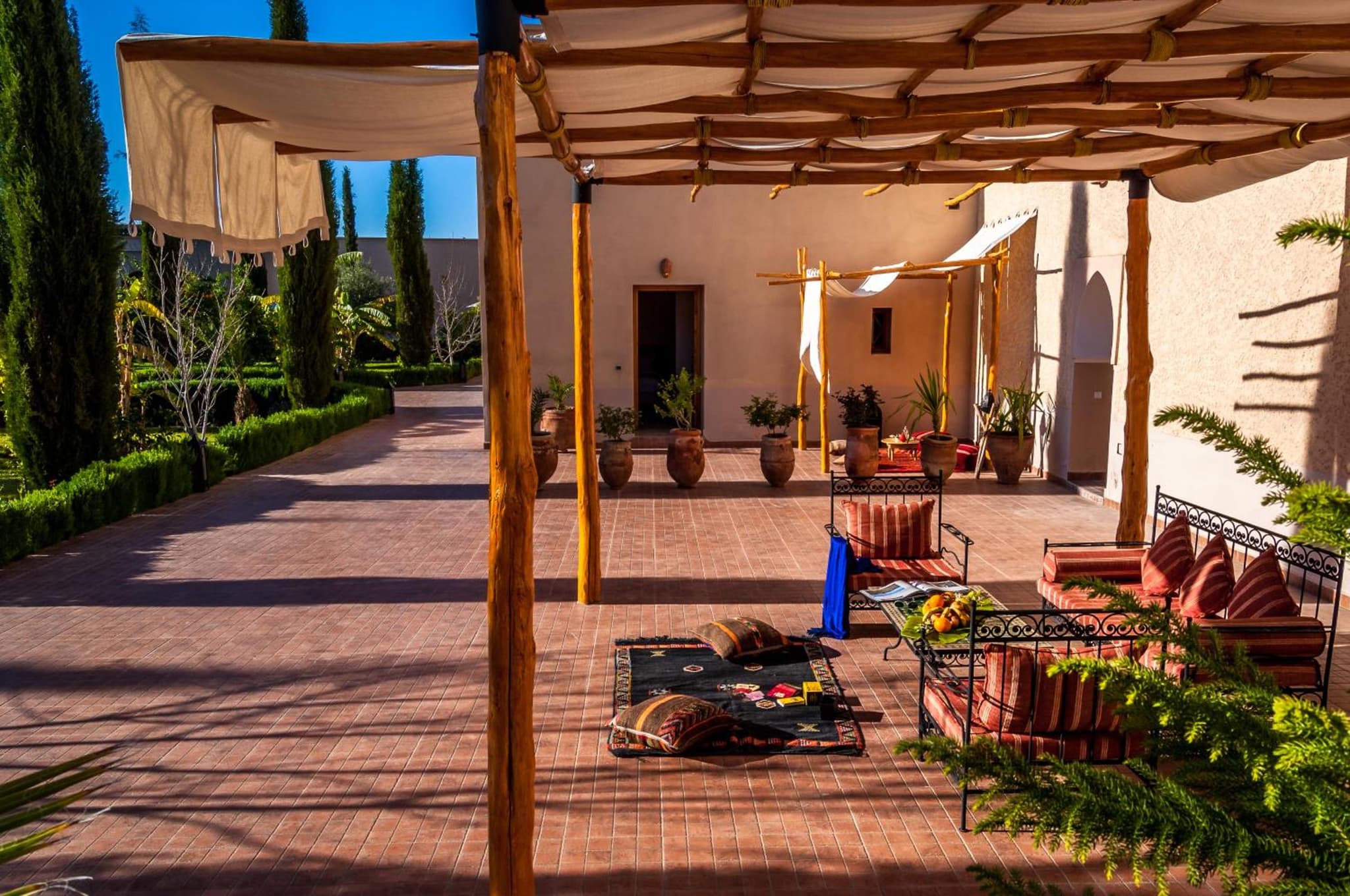Riad Sougtani photo 3