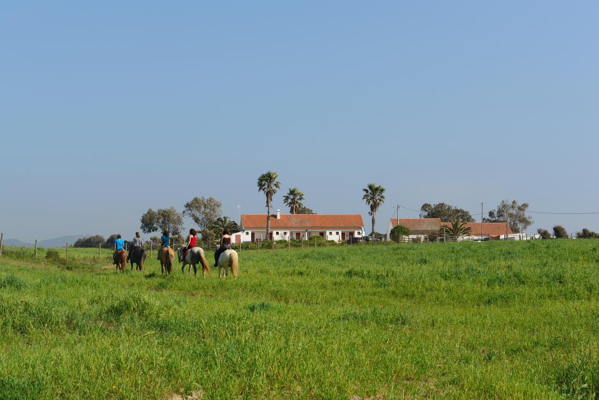 Herdade Do Pessegueiro photo 2