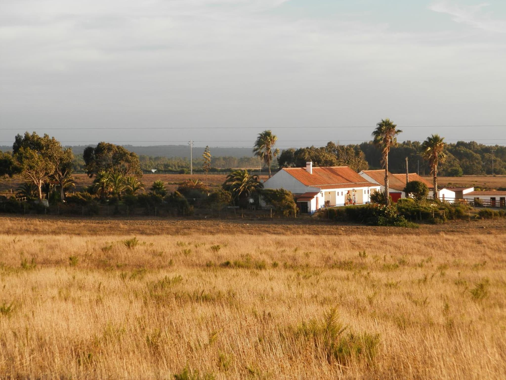 Herdade Do Pessegueiro photo 6