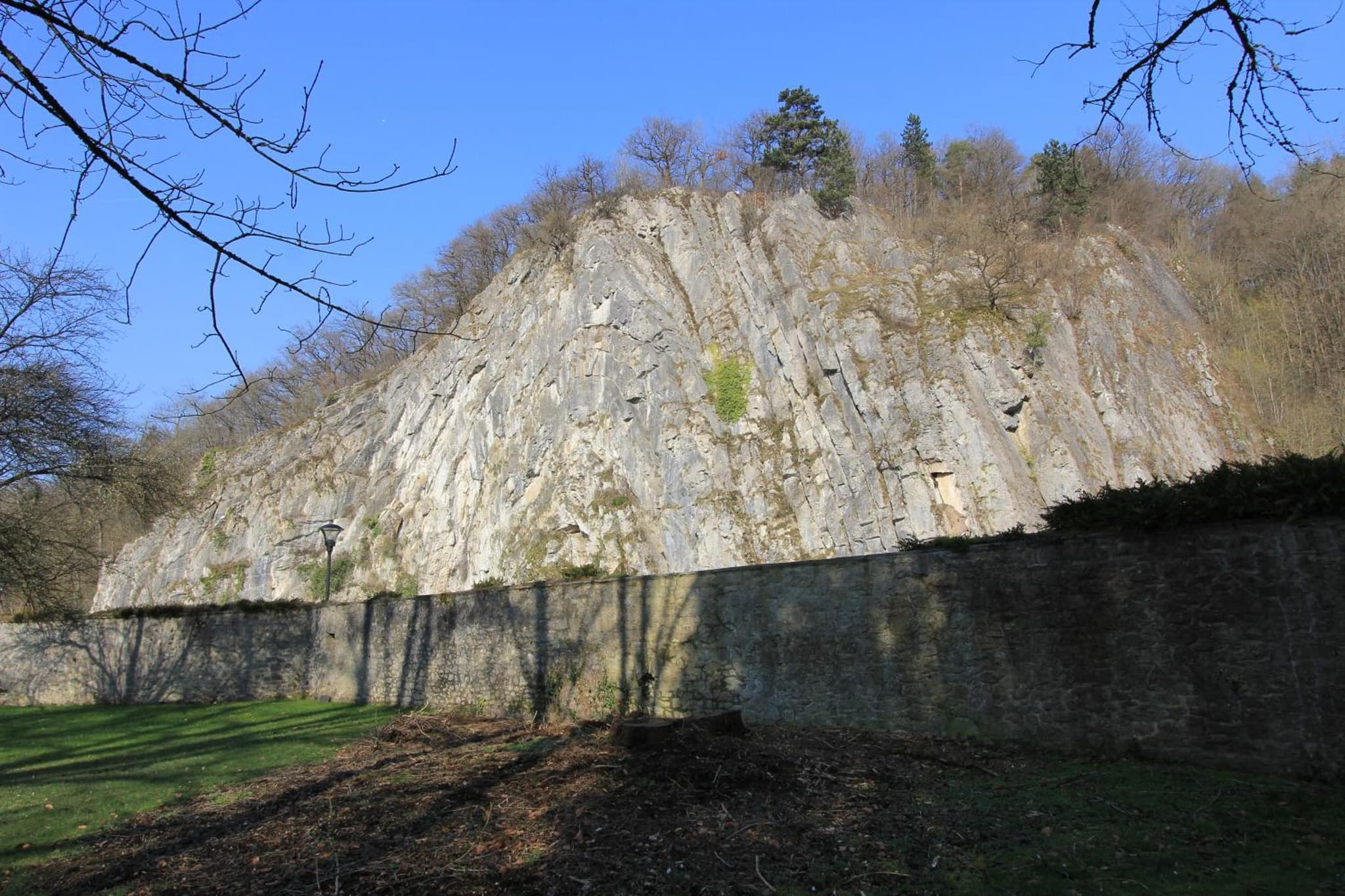 Chateau Cardinal photo 3