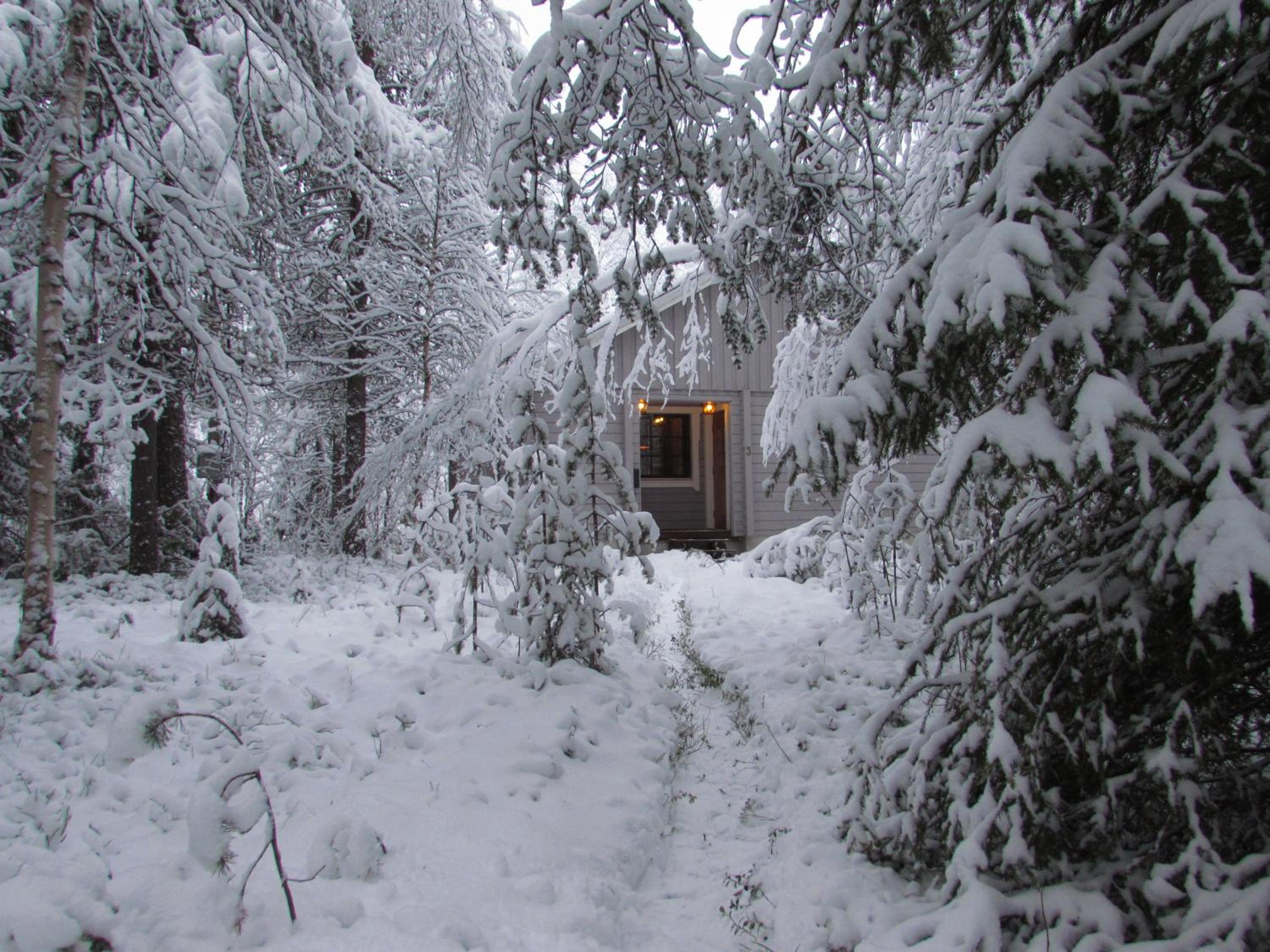 Tunturioravat photo 9